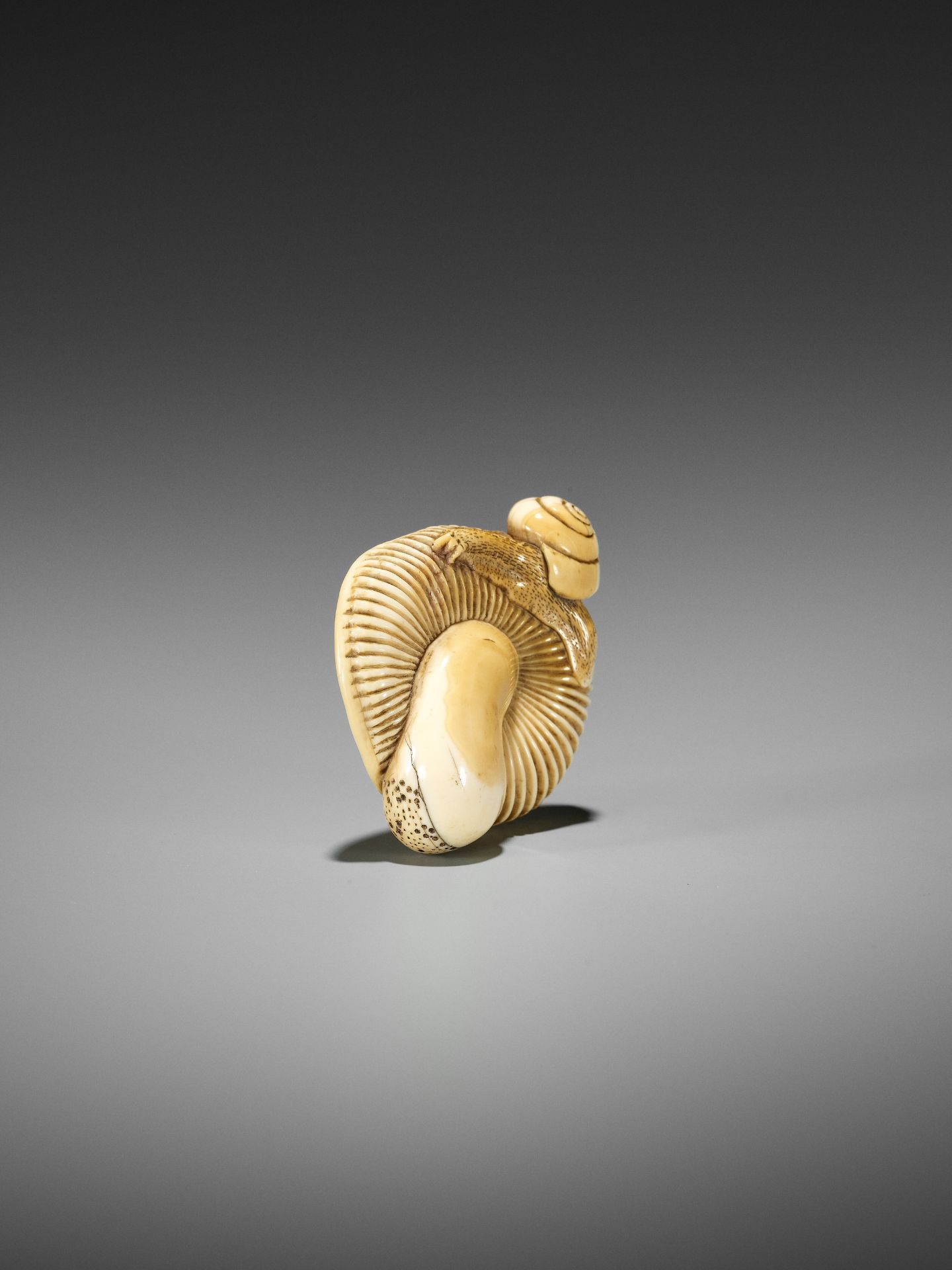 A FINE IVORY NETSUKE OF A SNAIL ON LARGE MUSHROOM - Bild 7 aus 15