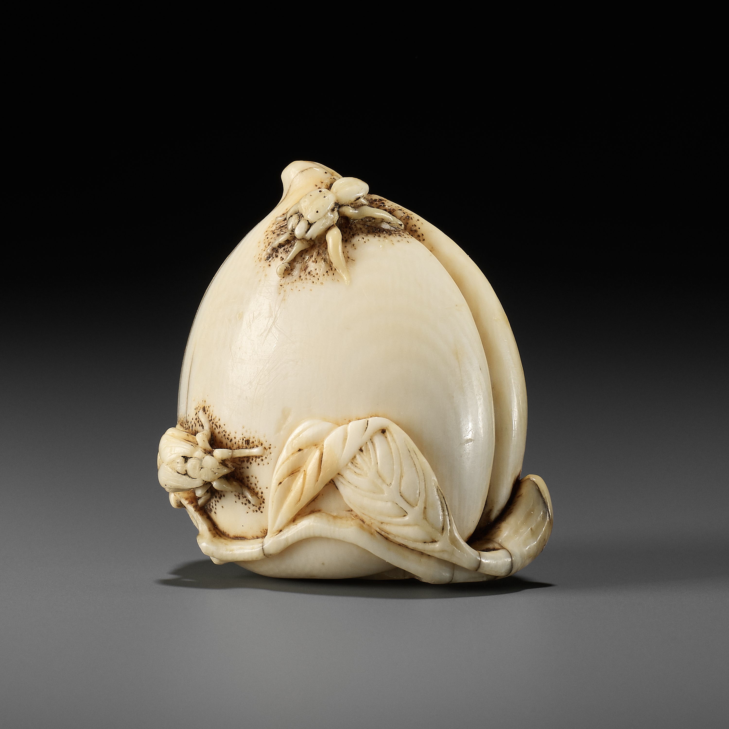 AN IVORY NETSUKE OF A PEACH WITH INSECTS