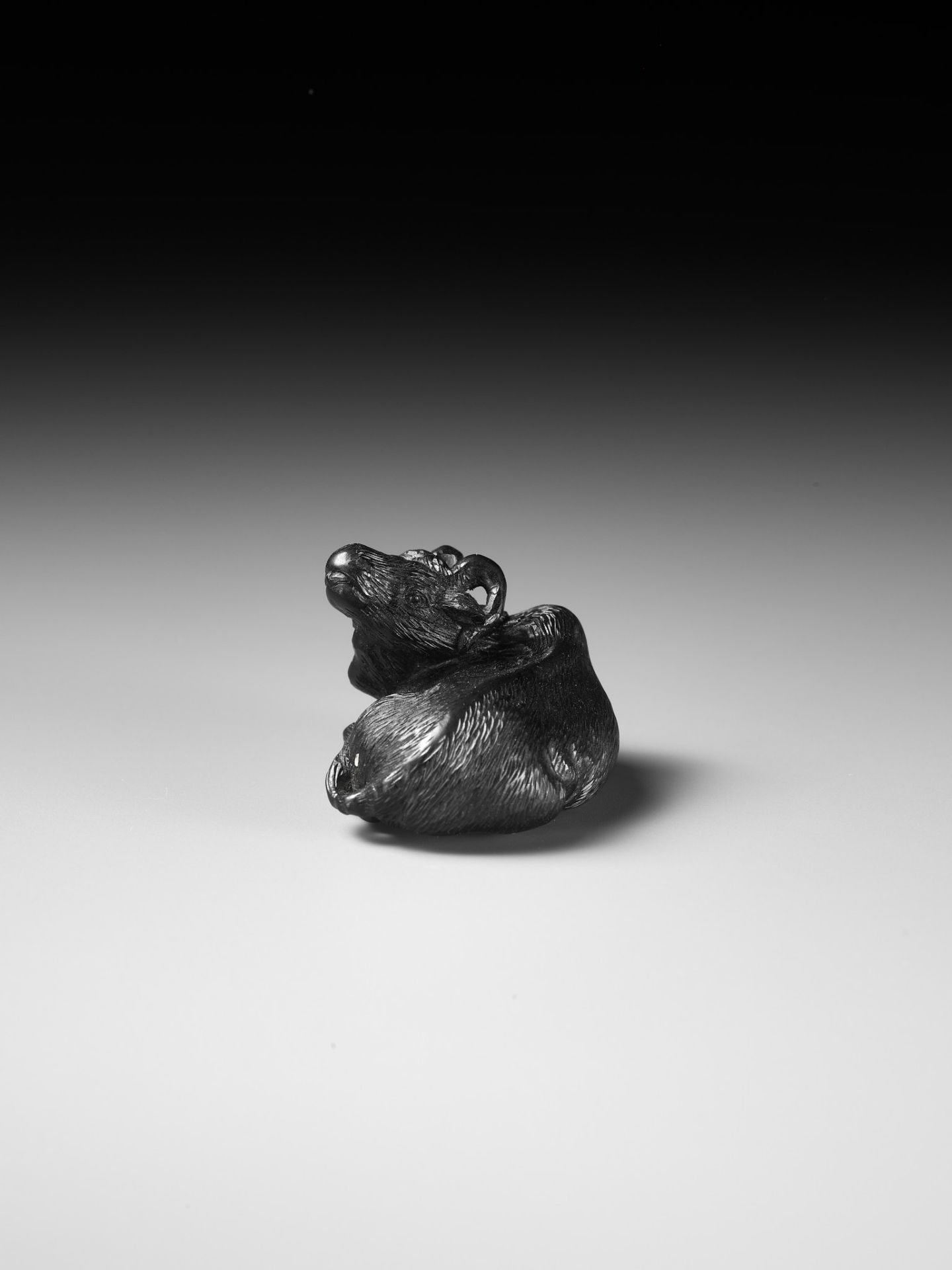 TATEKAWA KOSAI: AN EBONY WOOD NETSUKE OF A RECUMBENT OX - Image 3 of 13