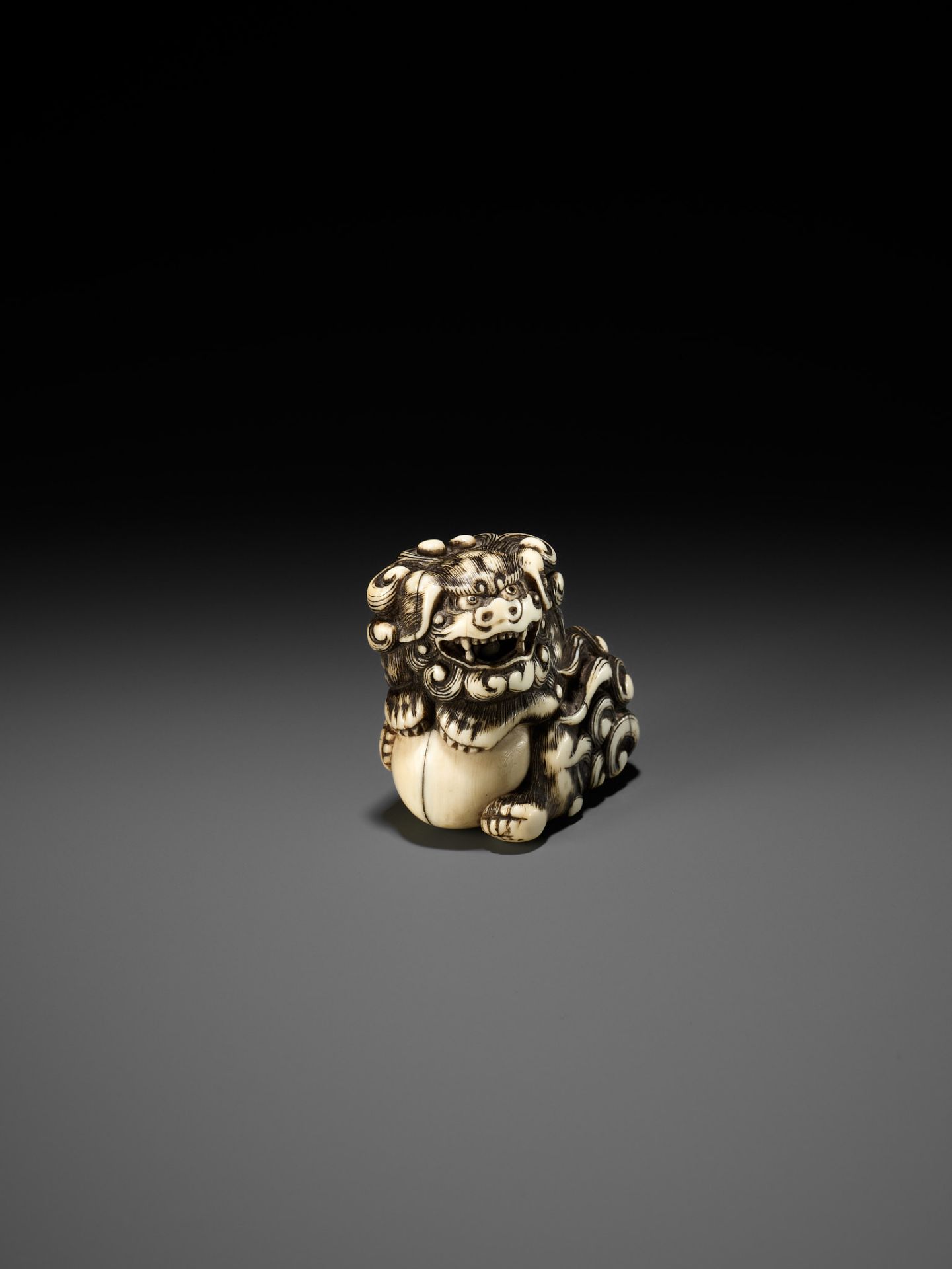 AN IVORY NETSUKE OF A SNARLING SHISHI WITH BALL - Bild 6 aus 10