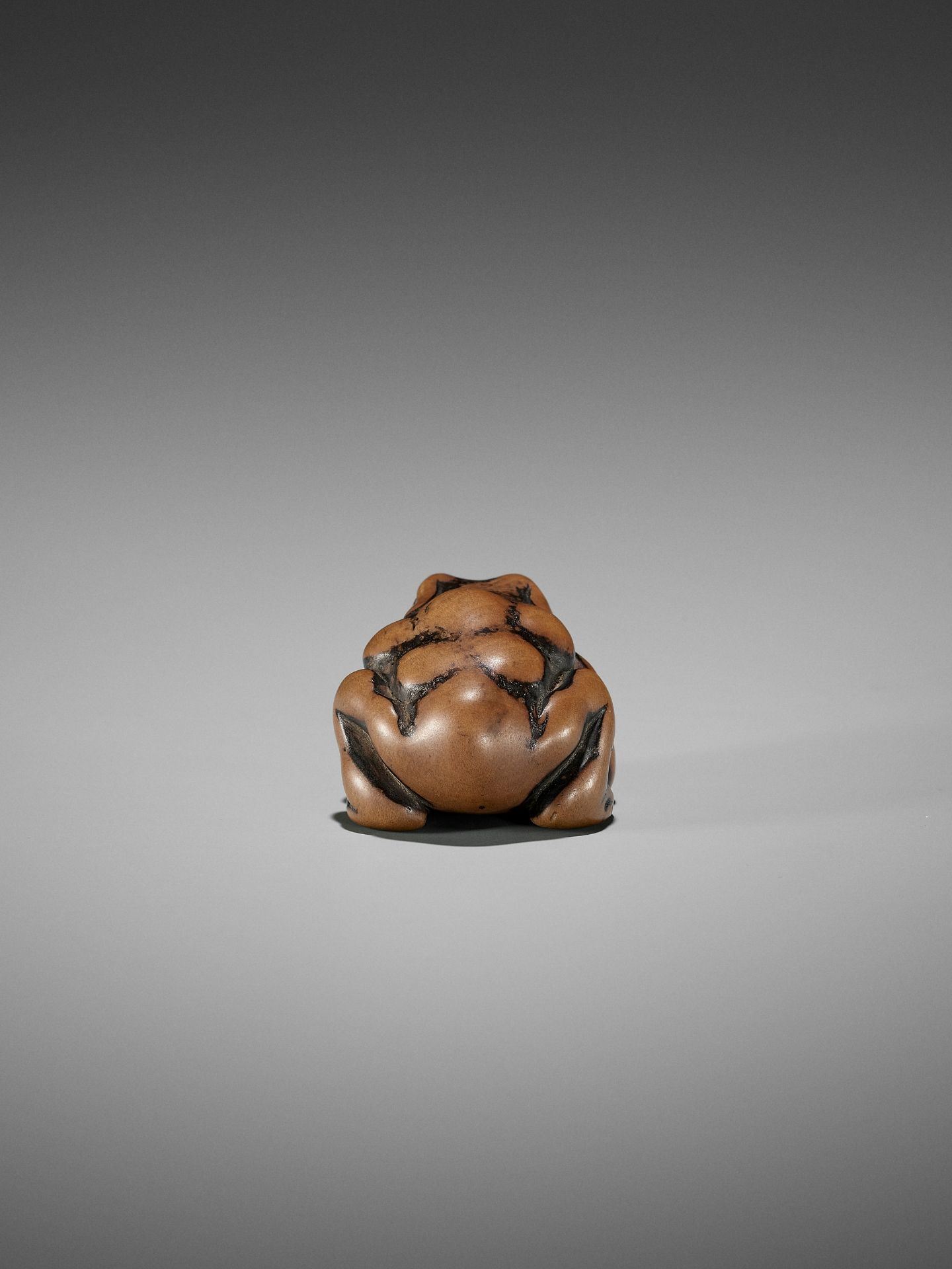 AN EARLY WOOD NETSUKE OF A TOAD - Image 3 of 12