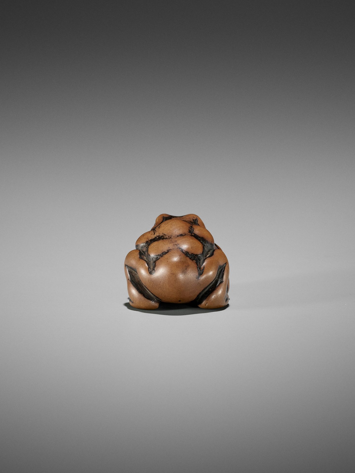 AN EARLY WOOD NETSUKE OF A TOAD - Bild 3 aus 12