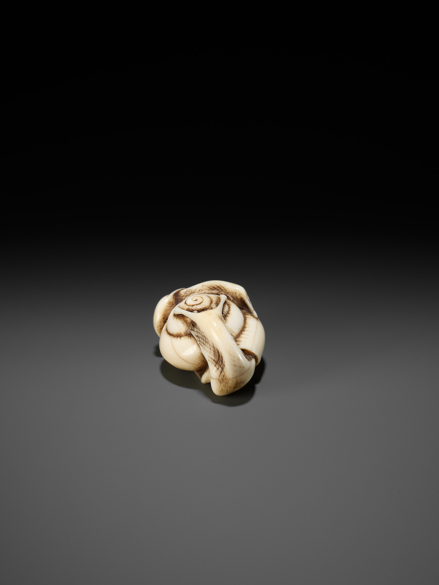 A FINE IVORY NETSUKE DEPICTING A PAIR OF SNAILS - Image 7 of 11