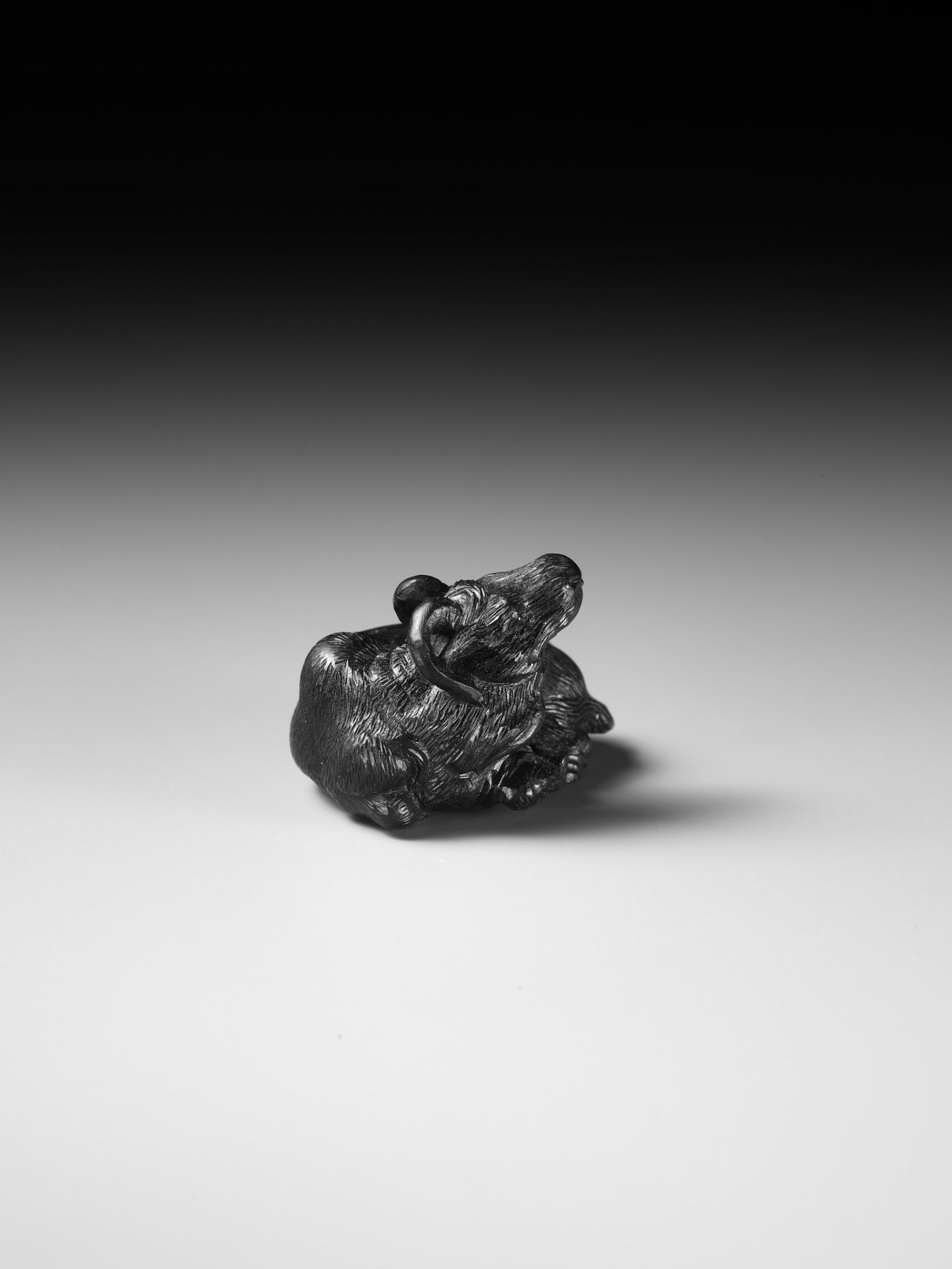 TATEKAWA KOSAI: AN EBONY WOOD NETSUKE OF A RECUMBENT OX - Image 9 of 13