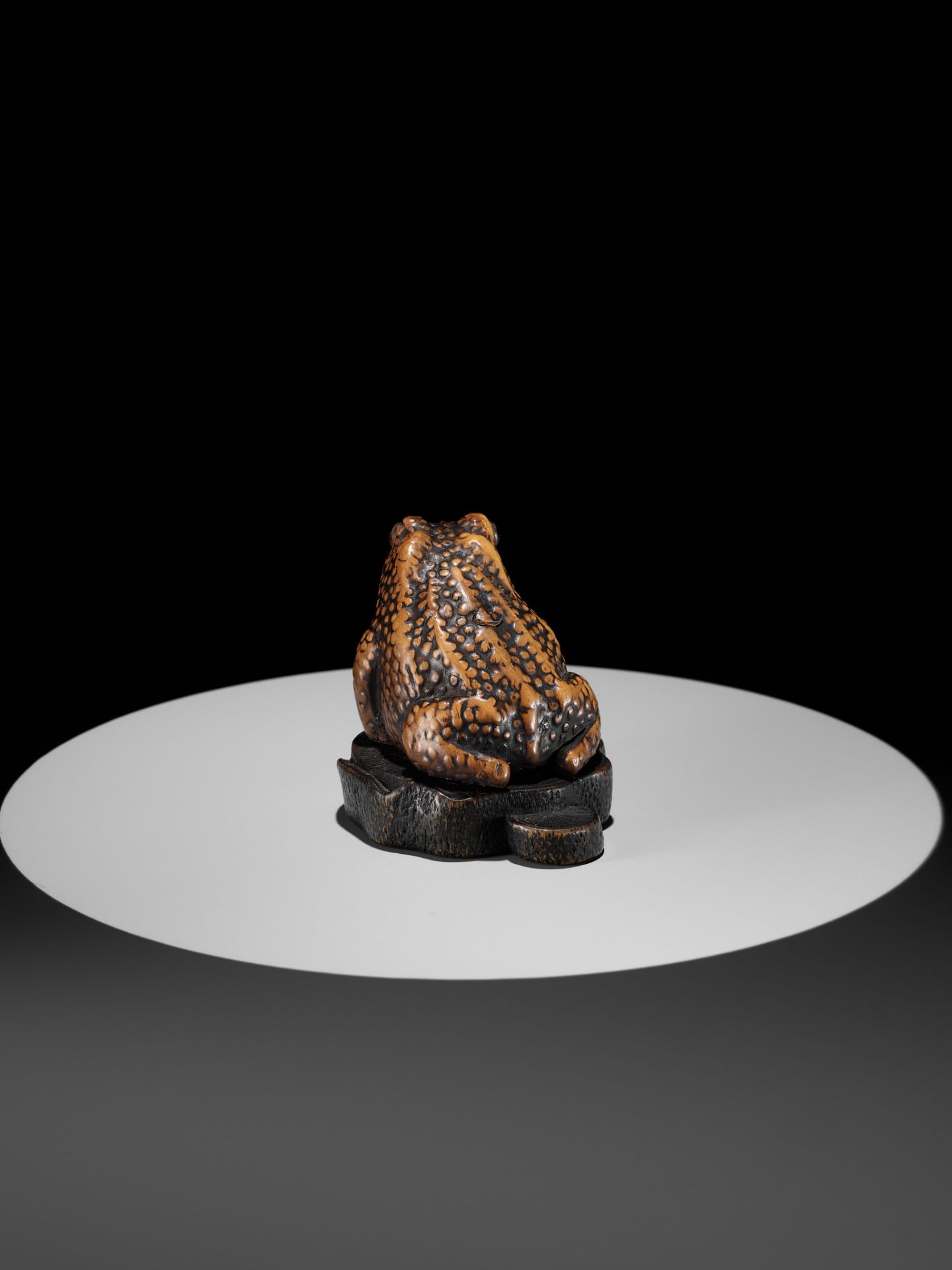 A LARGE AND UNUSUAL WOOD NETSUKE OF A TOAD - Bild 8 aus 11