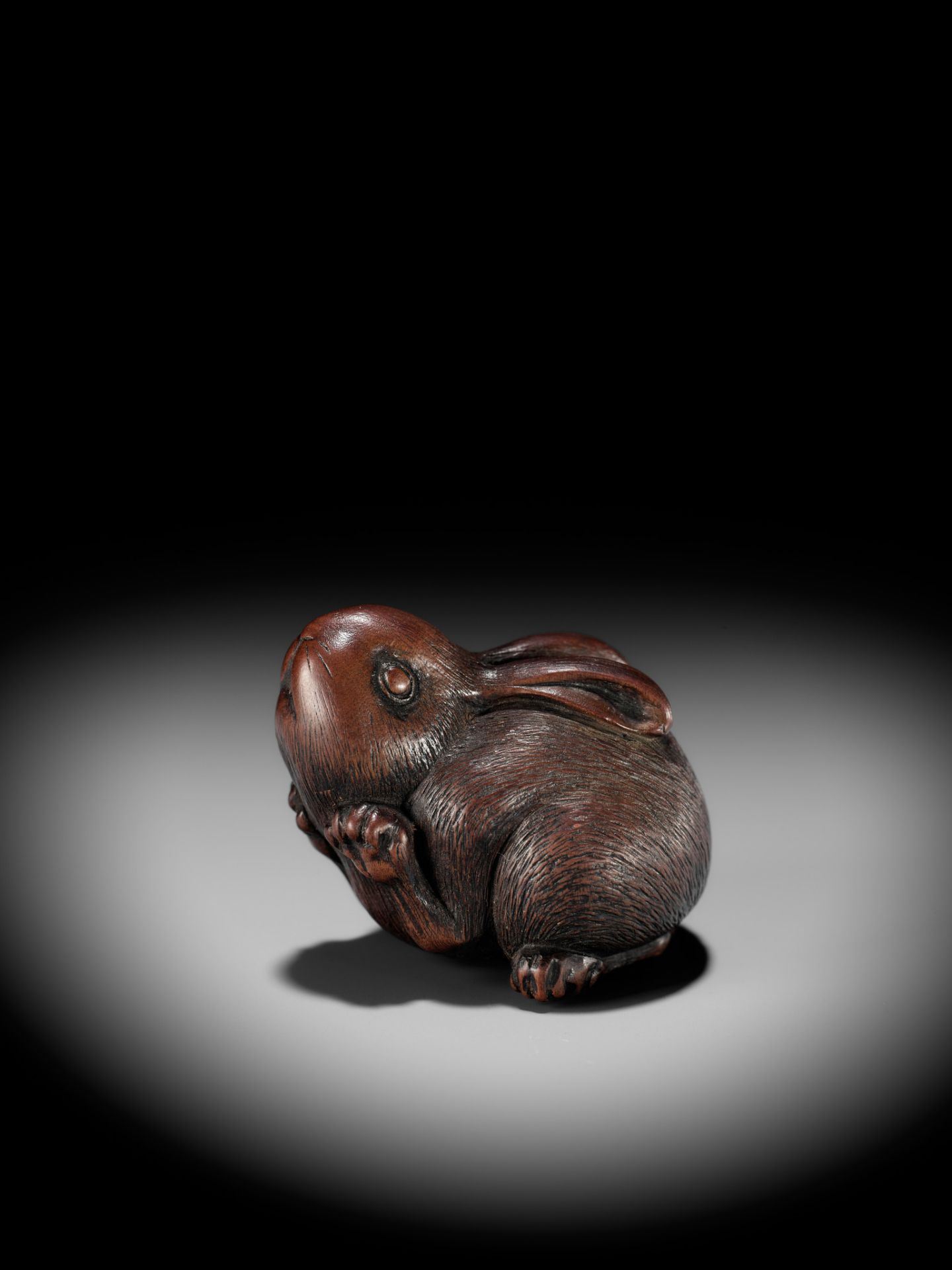 AZAN: A SUPERB WOOD NETSUKE OF A CHUBBY HARE - Image 12 of 15