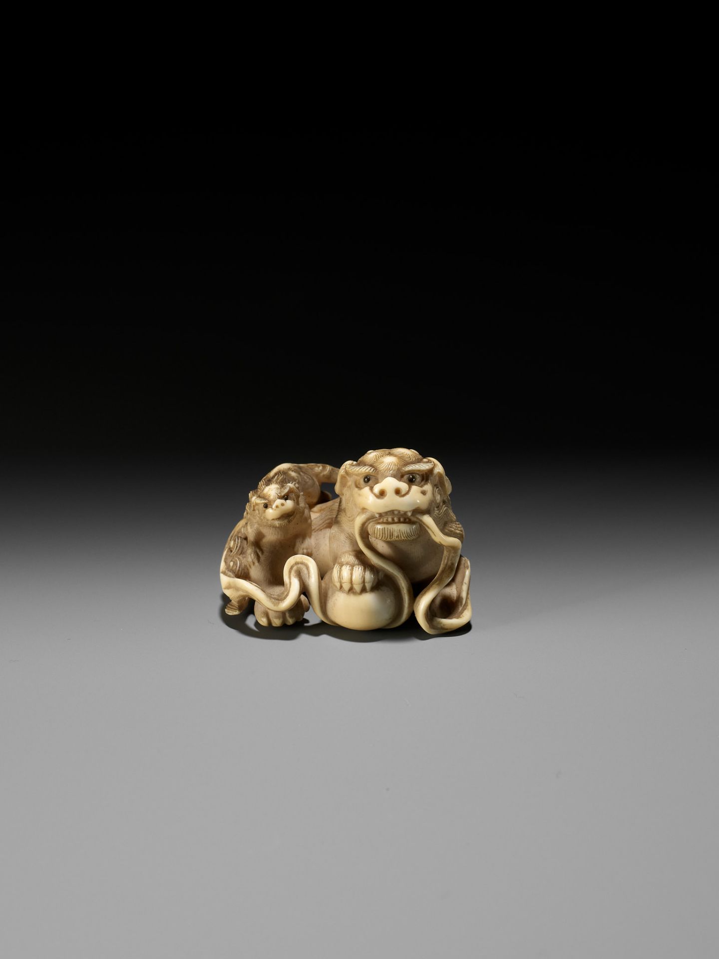 HAKURYU: A FINE IVORY NETSUKE OF A SHISHI AND YOUNG - Image 4 of 14