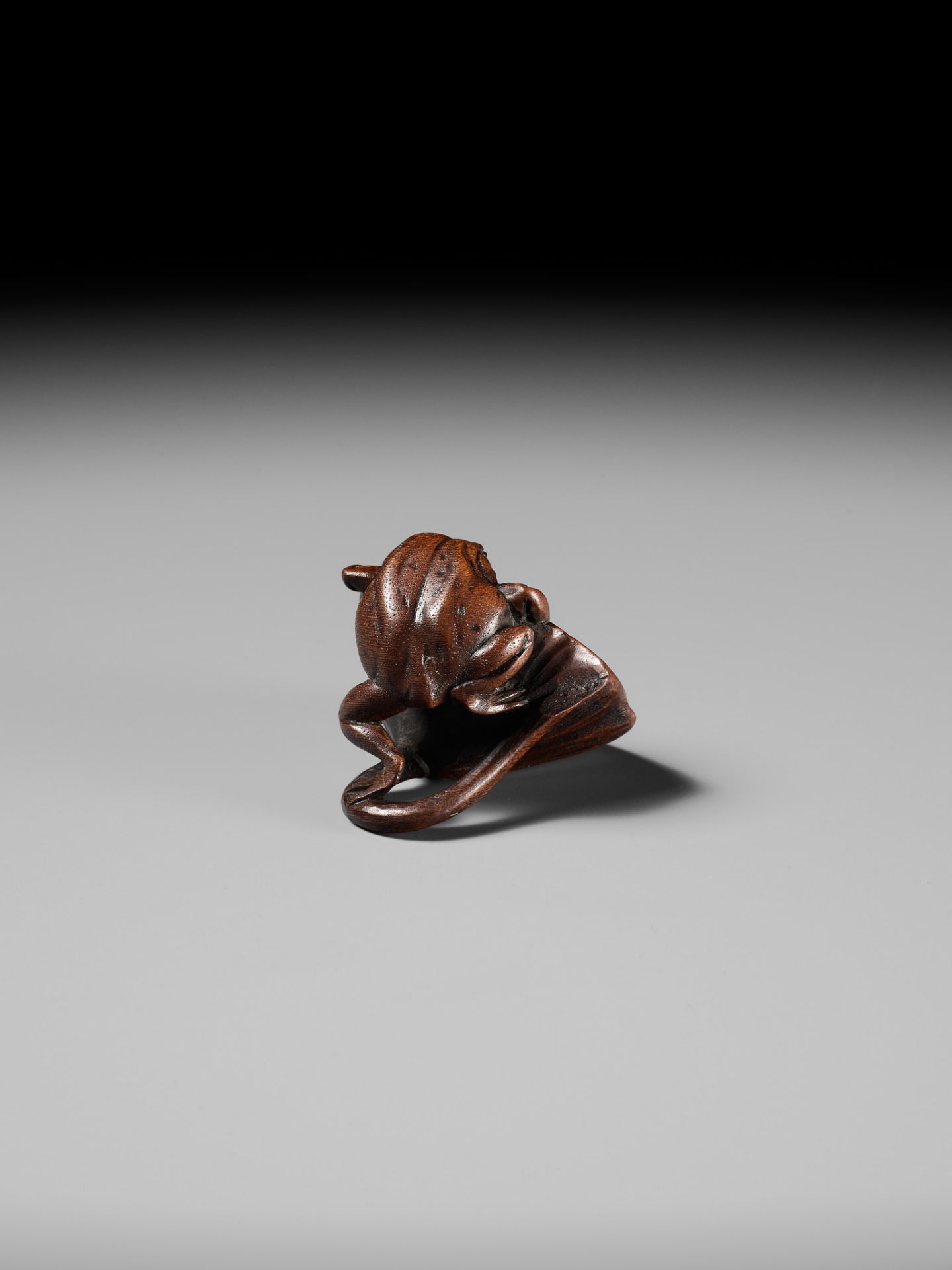 A RARE WOOD NETSUKE OF A FROG HUNTING A SPIDER ON A LOTUS POD - Bild 8 aus 11