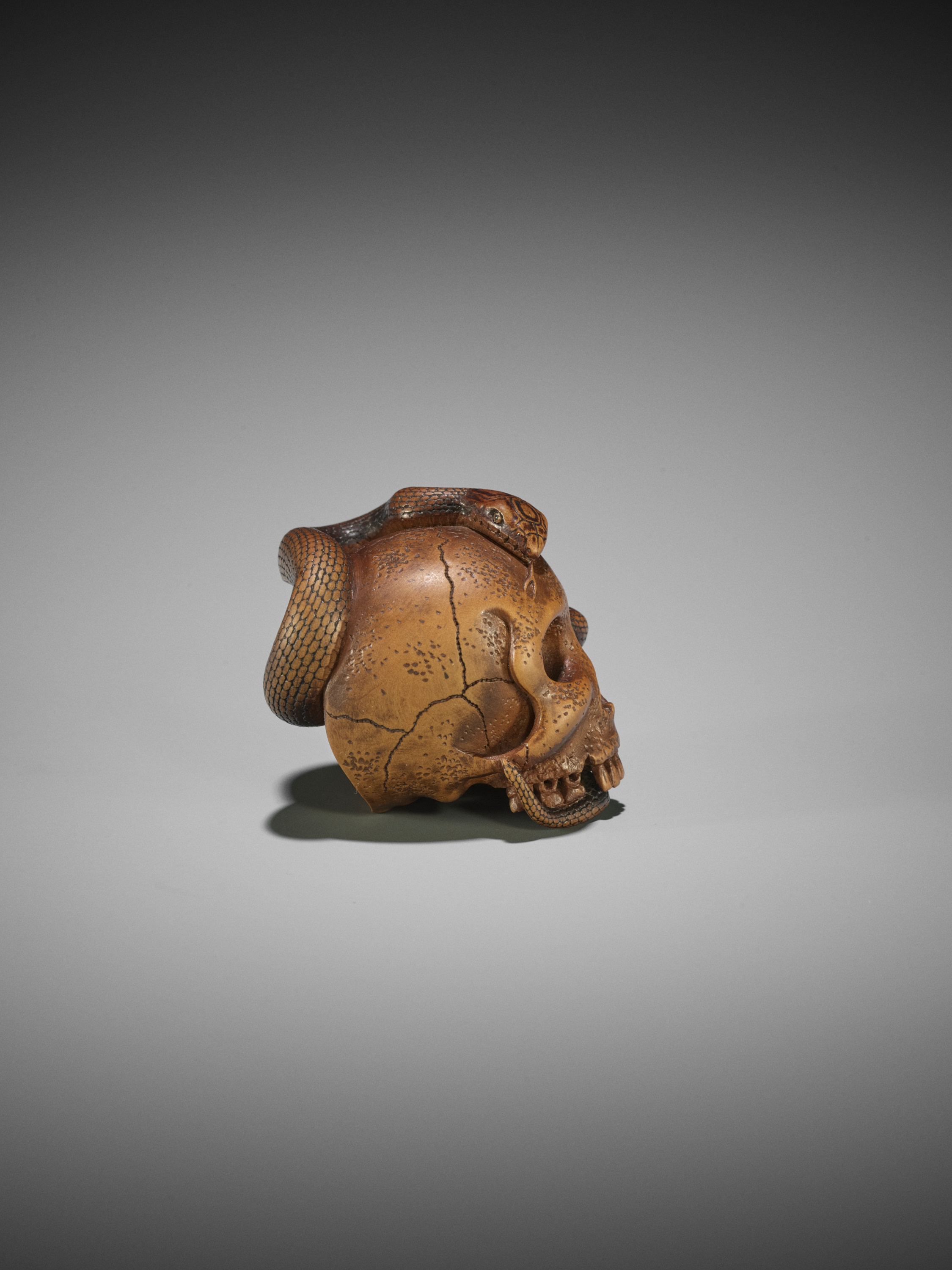 SUKEYUKI: A MASTERFUL WOOD NETSUKE OF A SNAKE AND SKULL - Image 15 of 19