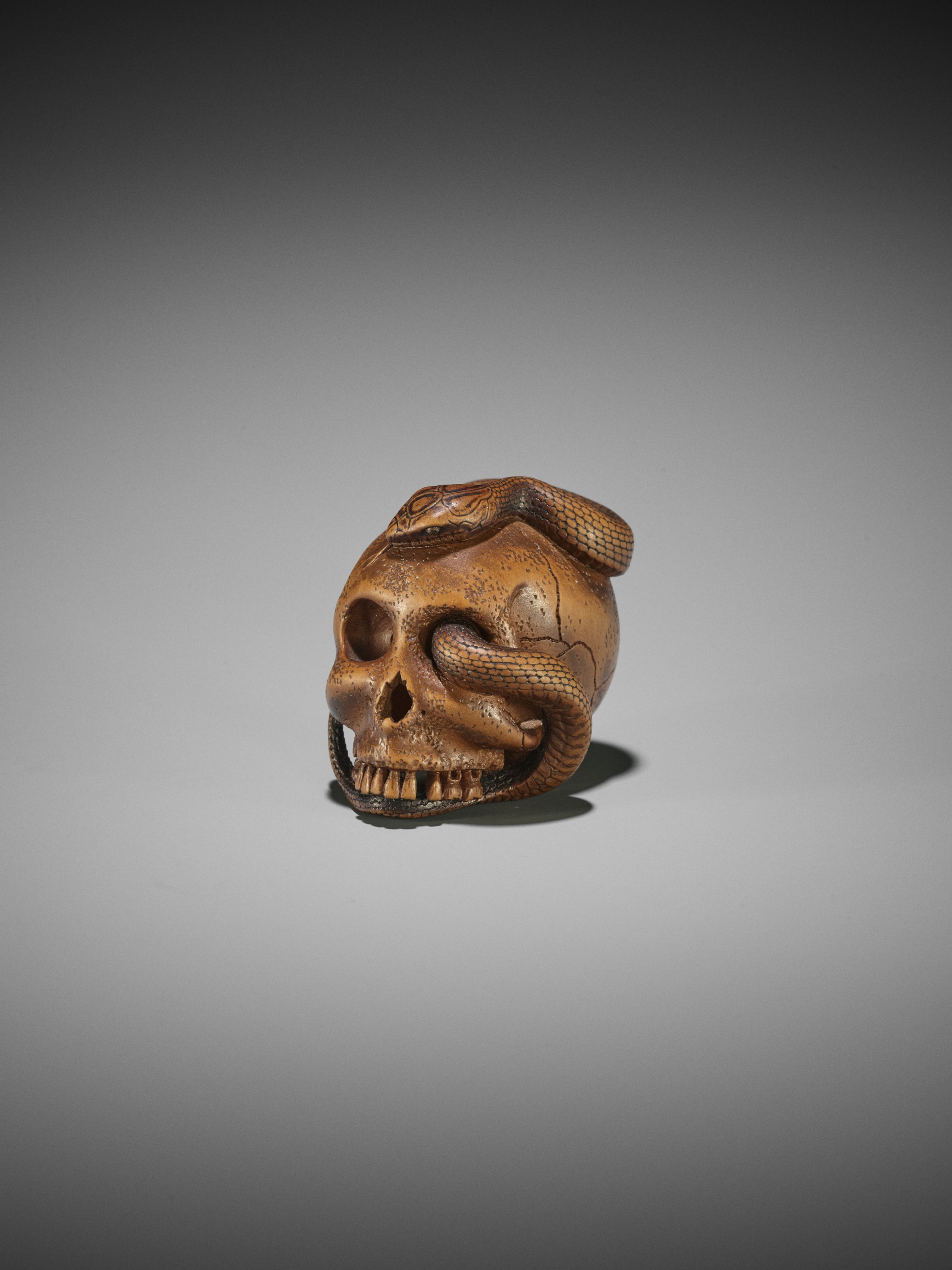 SUKEYUKI: A MASTERFUL WOOD NETSUKE OF A SNAKE AND SKULL - Image 10 of 19