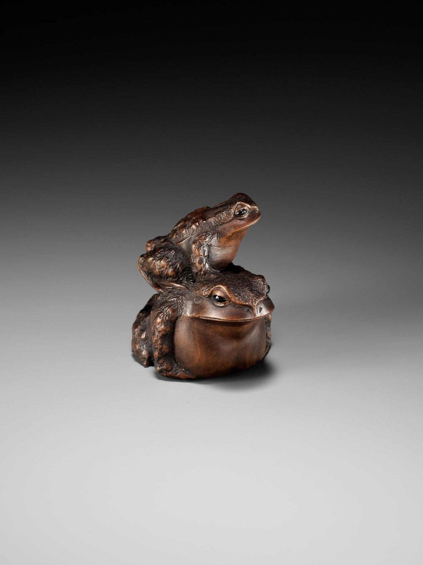 MASANAO: A FINE WOOD NETSUKE OF A TOAD WITH YOUNG - Image 12 of 15