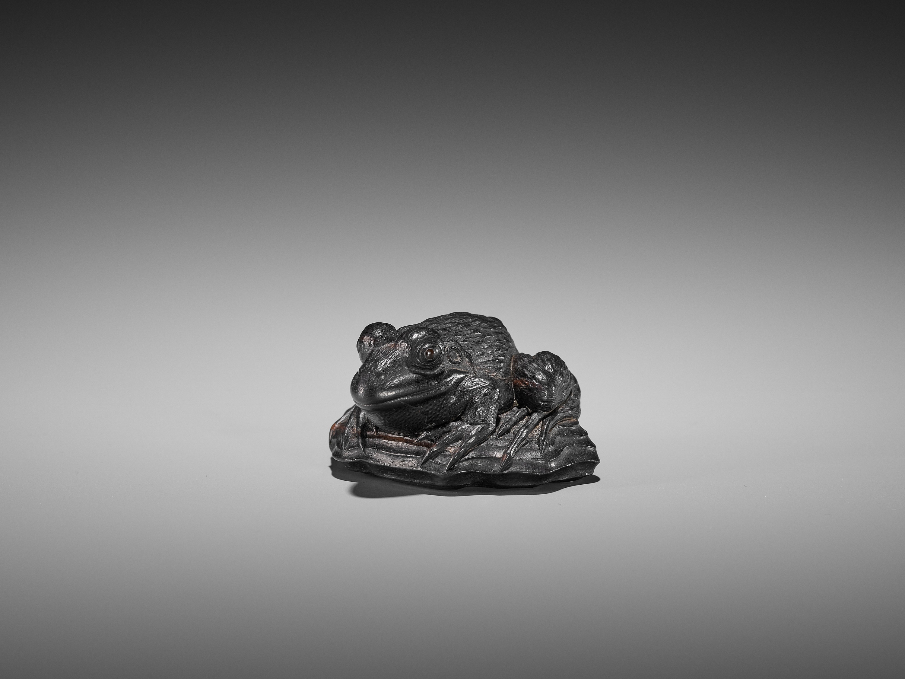 A SUPERB EBONY WOOD NETSUKE OF A FROG ON DRIFTWOOD ATTRIBUTED TO SEIYODO TOMIHARU - Image 4 of 20