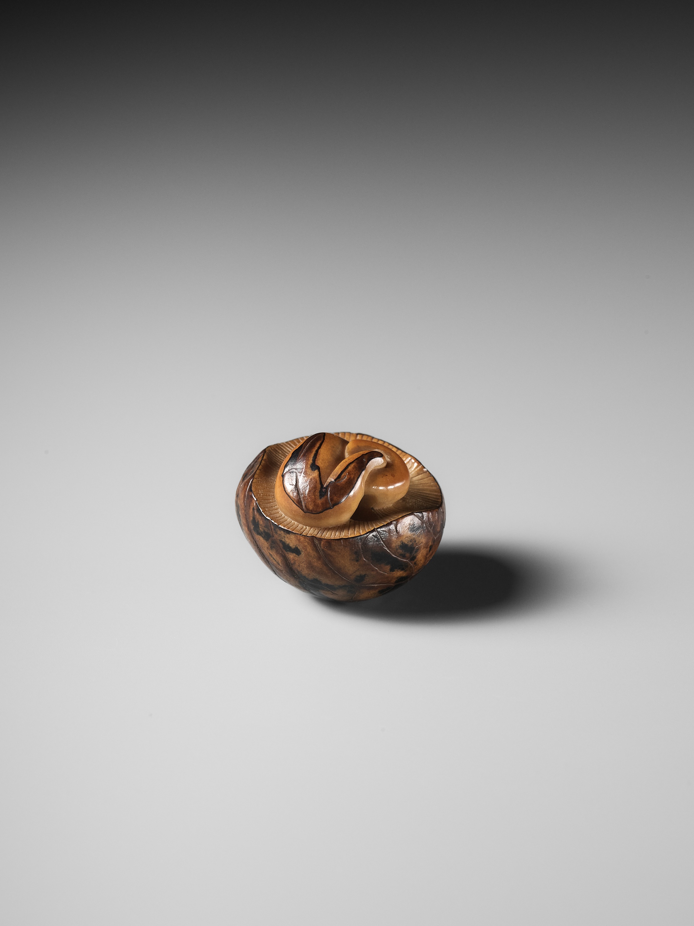 YOSHIMASA: A RARE COROZO NUT NETSUKE OF TWO MUSHROOMS AND A WORM - Image 7 of 11