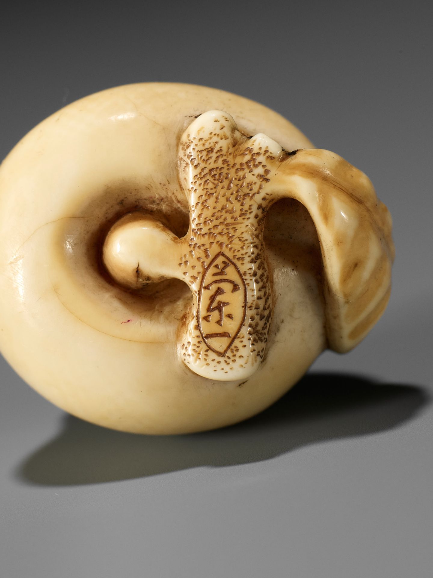 RANICHI: AN IVORY NETSUKE OF A PEACH - Bild 11 aus 12