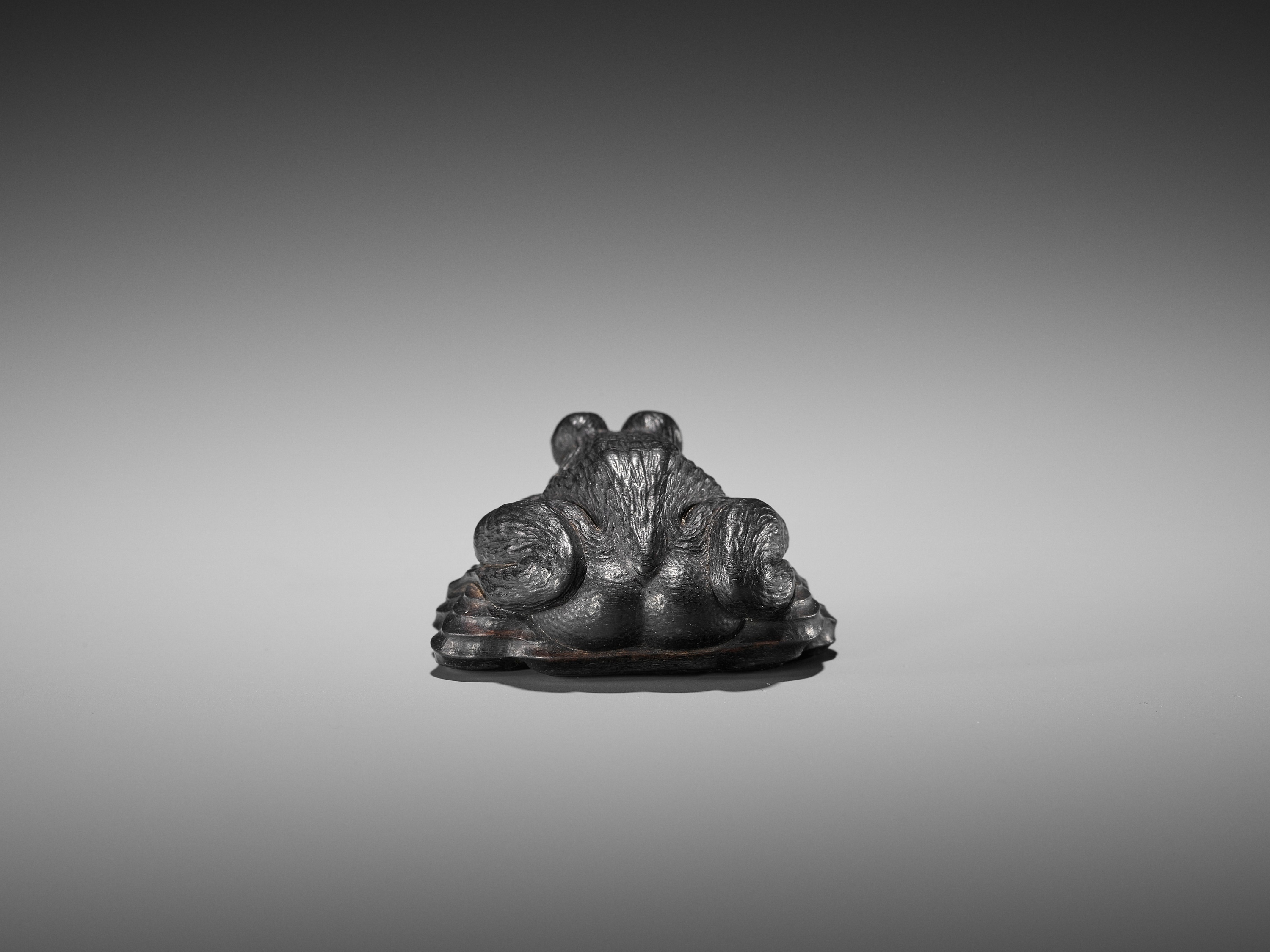 A SUPERB EBONY WOOD NETSUKE OF A FROG ON DRIFTWOOD ATTRIBUTED TO SEIYODO TOMIHARU - Image 11 of 20