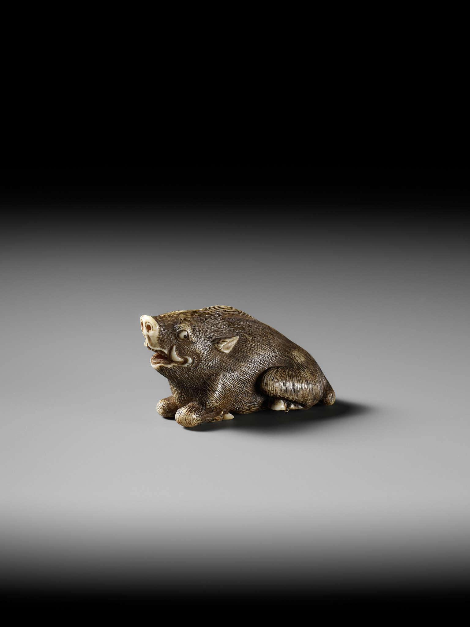 A KYOTO SCHOOL IVORY NETSUKE OF A FRIGHTENED RECLINING BOAR - Image 2 of 13