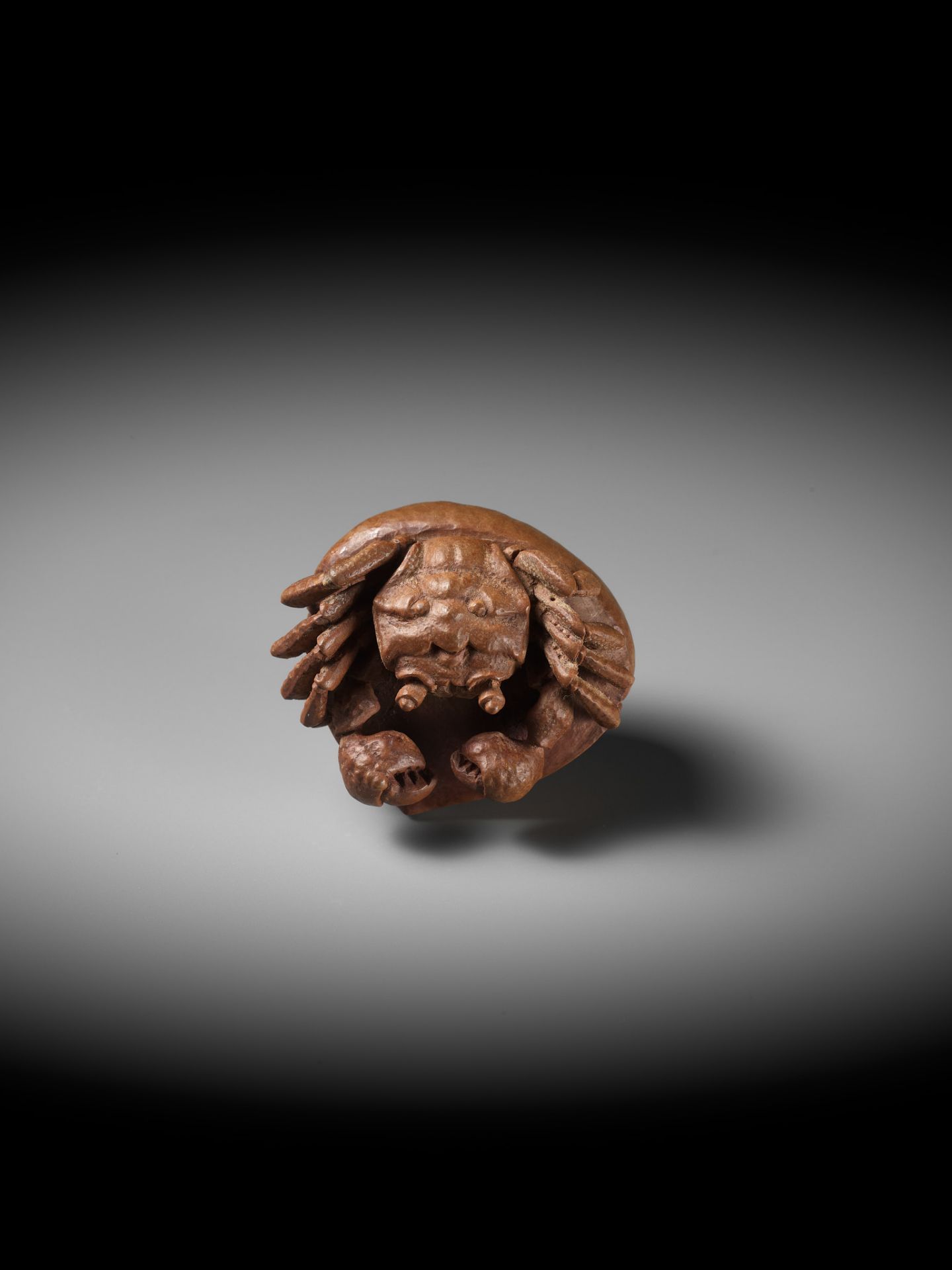 MORITA SOKO: A FINE NETSUKE OF A SAMURAI CRAB (HEIKEGANI) ON A CHESTNUT - Bild 9 aus 16