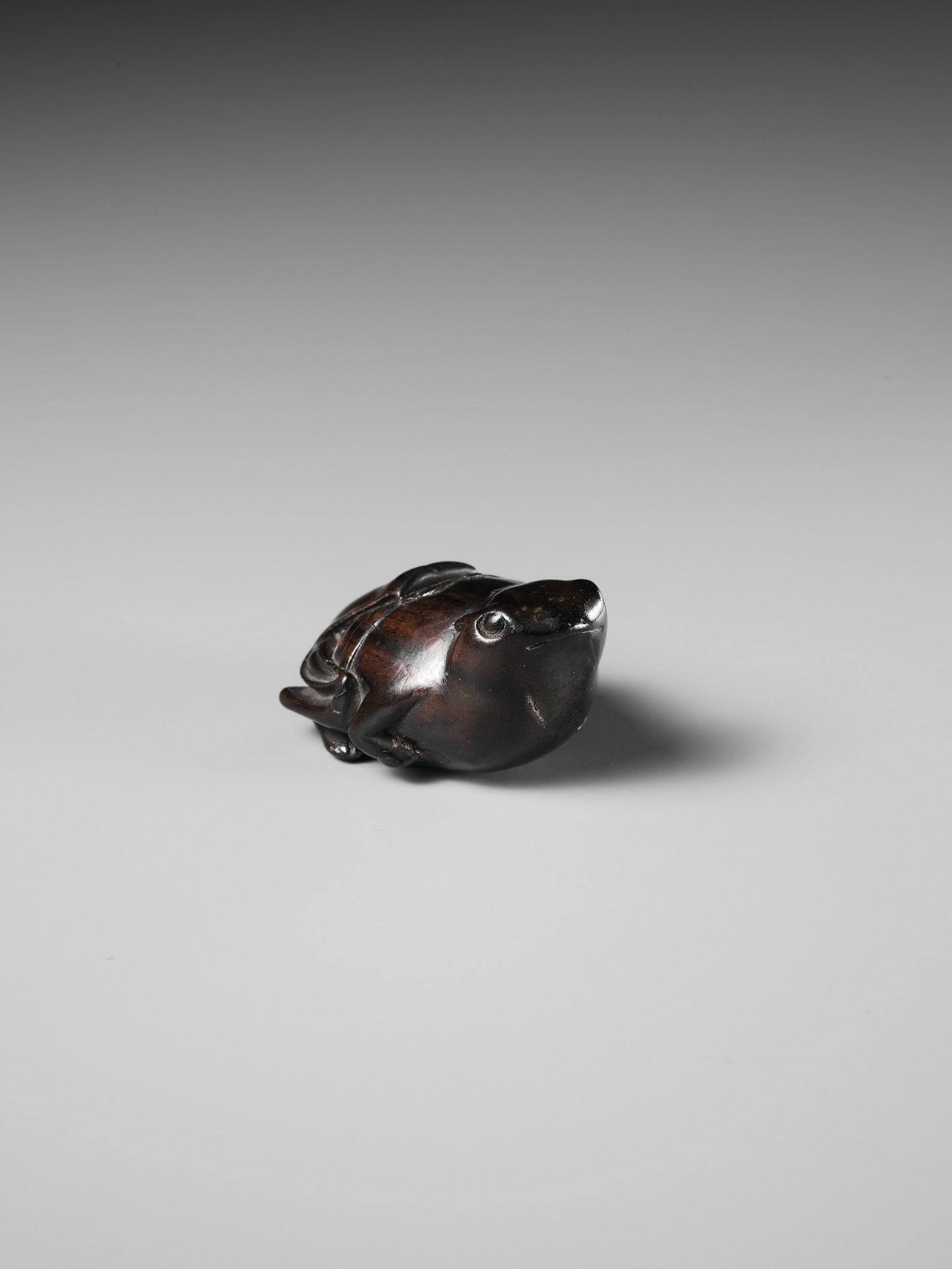 A RARE DARK WOOD NETSUKE OF A SUMO WRESTLING FROG - Image 12 of 13