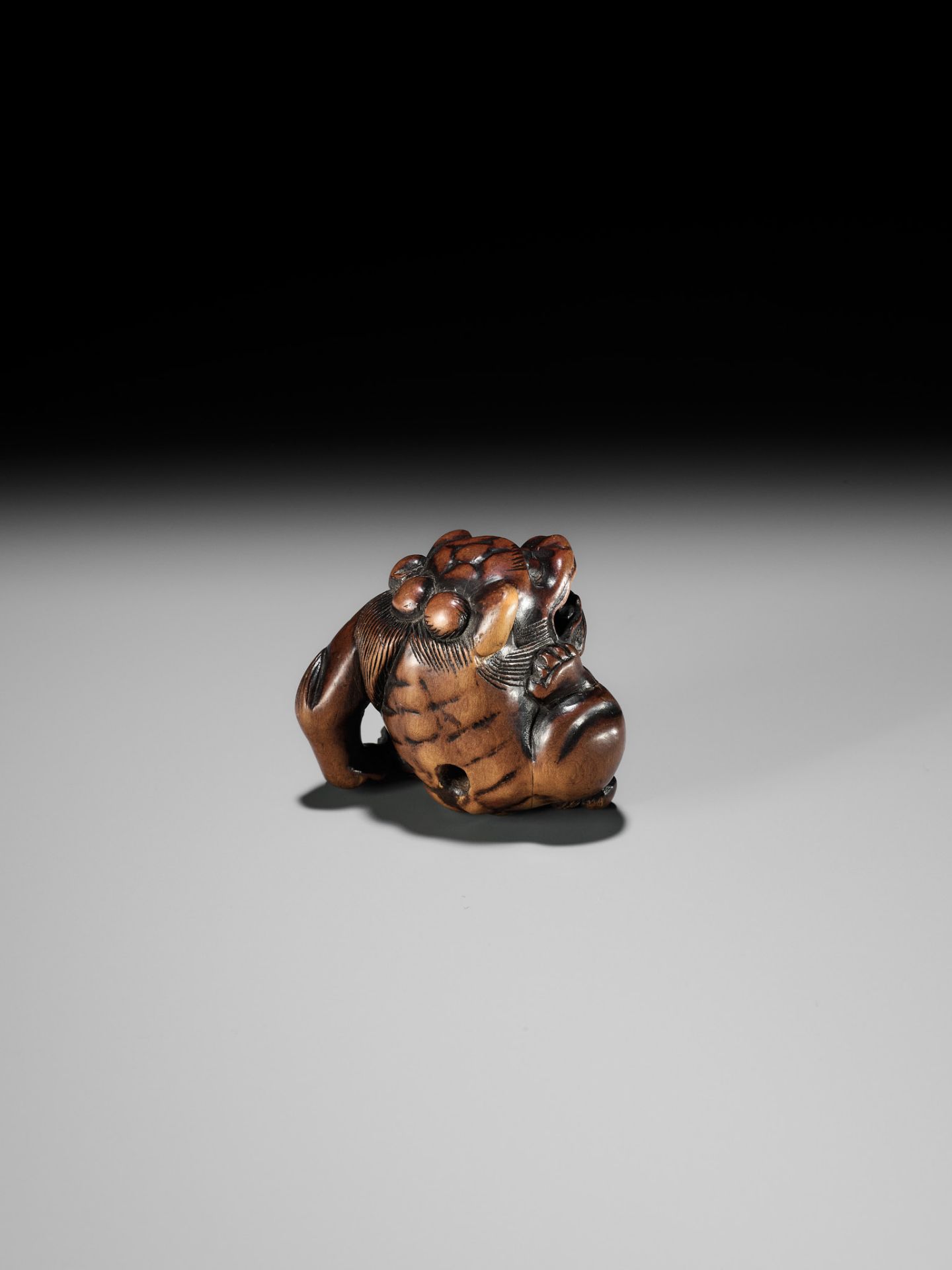 A WOOD NETSUKE OF A SHISHI SCRATCHING ITS JOWL, ATTRIBUTED TO RISUKE GARAKU - Image 2 of 12