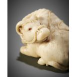 KAIGYOKUSAI MASATSUGU: A MASTERFUL AND IMPORTANT IVORY NETSUKE OF A RECUMBENT OX