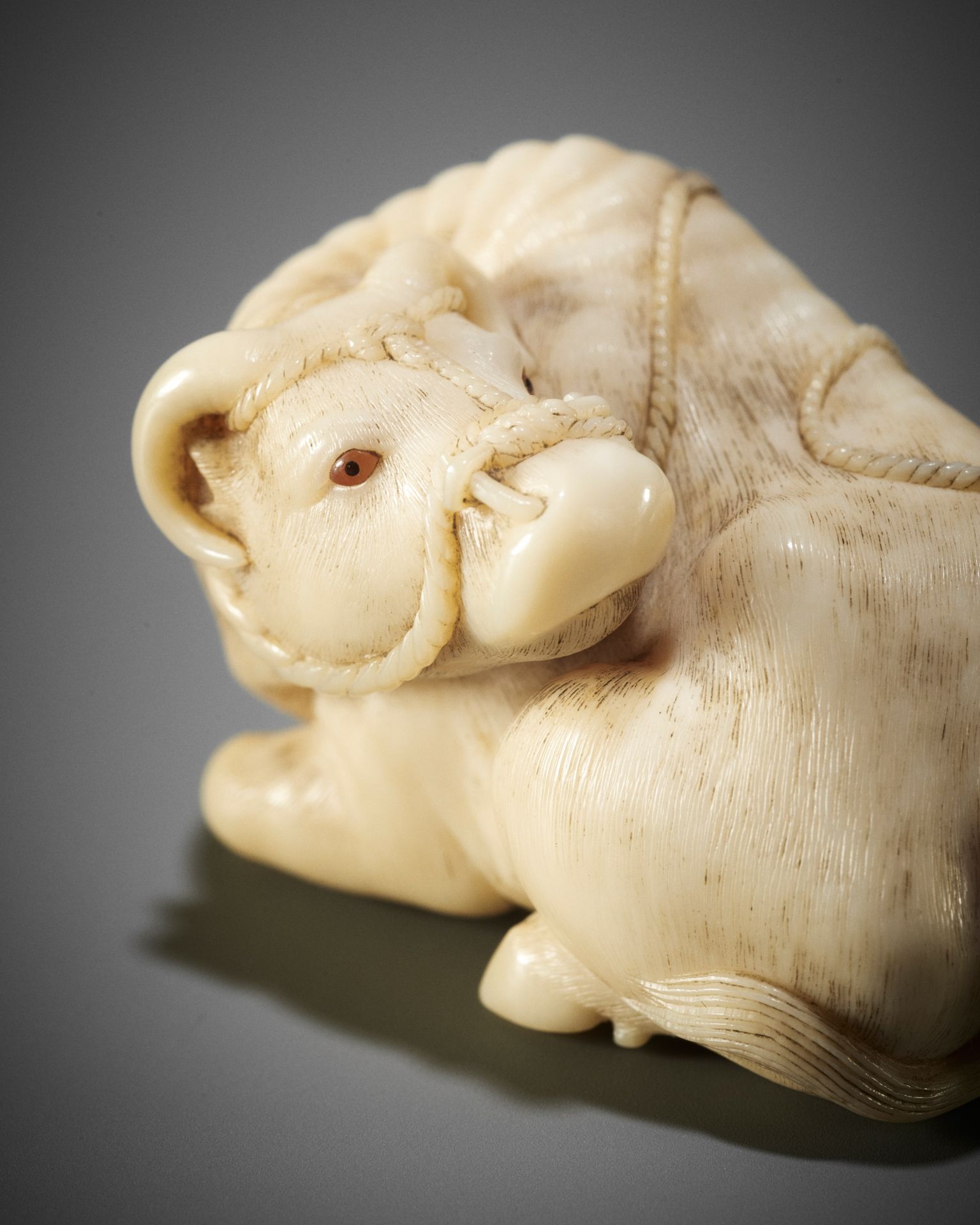 KAIGYOKUSAI MASATSUGU: A MASTERFUL AND IMPORTANT IVORY NETSUKE OF A RECUMBENT OX