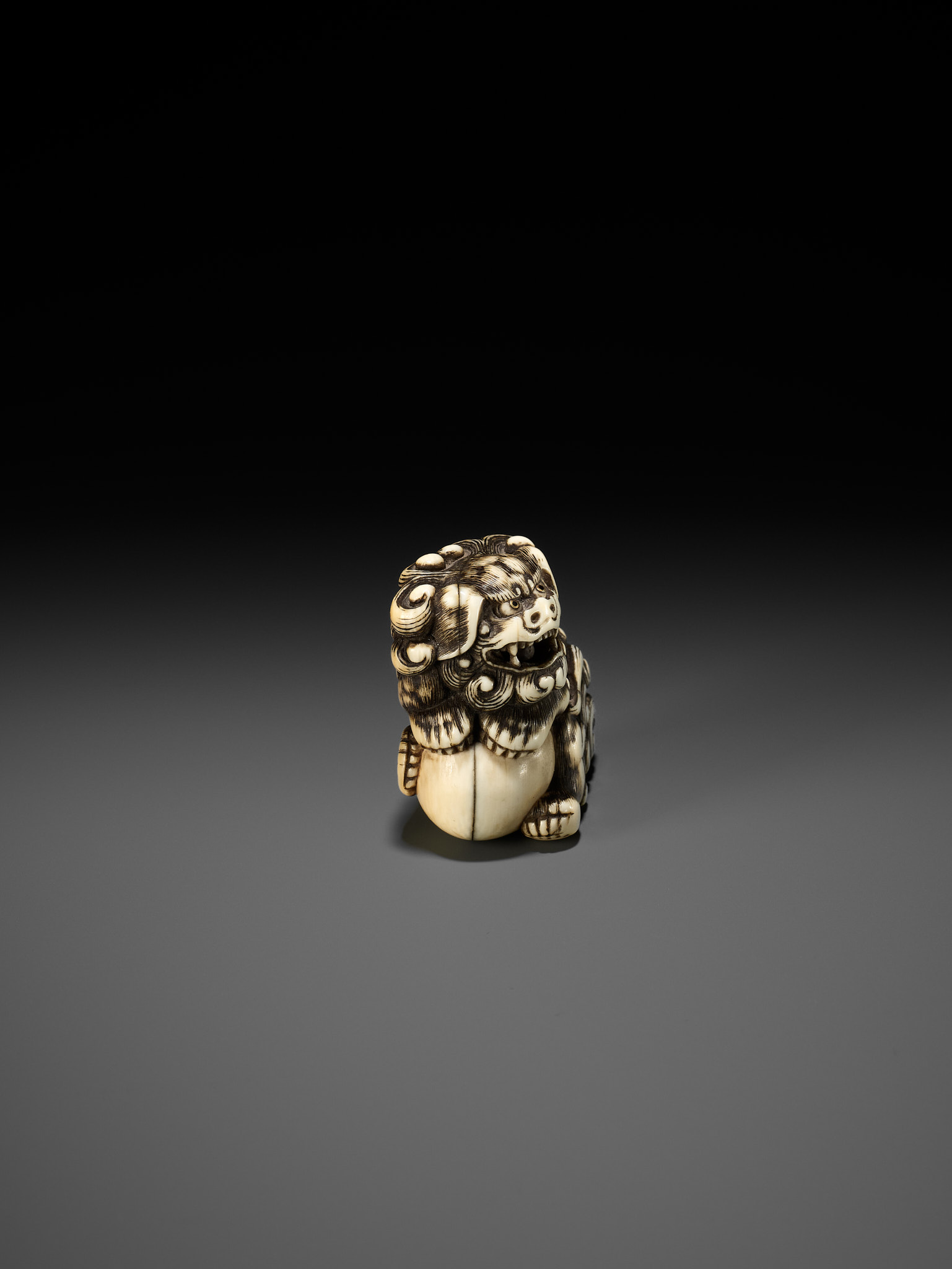 AN IVORY NETSUKE OF A SNARLING SHISHI WITH BALL - Image 5 of 10