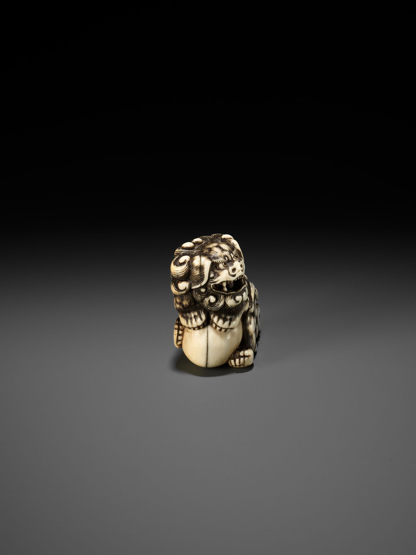 AN IVORY NETSUKE OF A SNARLING SHISHI WITH BALL - Bild 5 aus 10