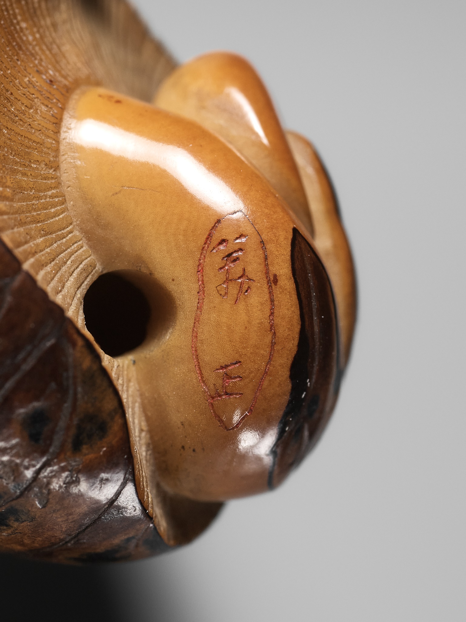 YOSHIMASA: A RARE COROZO NUT NETSUKE OF TWO MUSHROOMS AND A WORM - Image 11 of 11