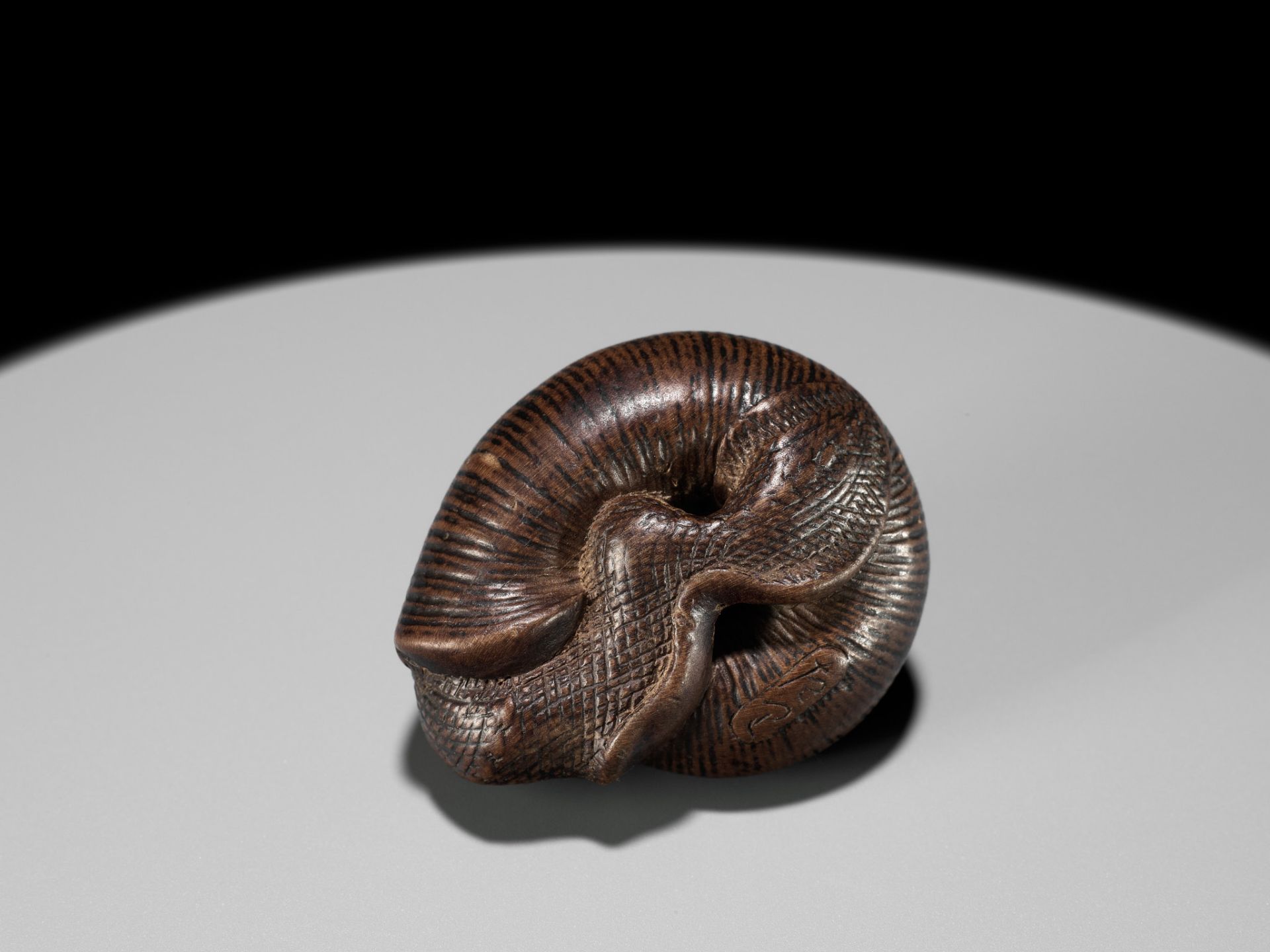 SARI: A FINE WOOD NETSUKE OF A SNAIL EMERGING FROM ITS SHELL - Bild 17 aus 17