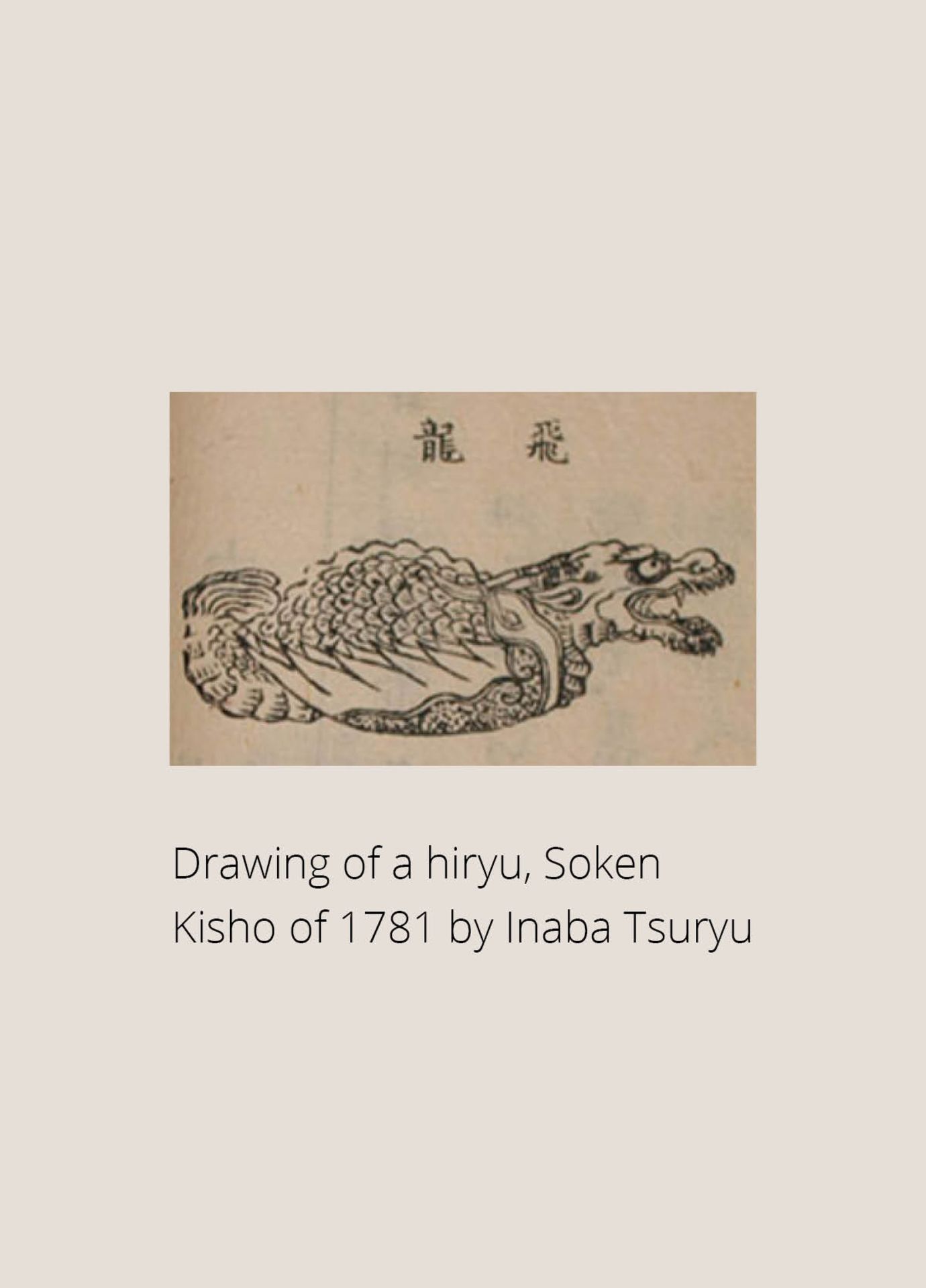 A RARE WOOD NETSUKE OF A HIRYU (FLYING DRAGON), SOKEN KISHO TYPE - Bild 7 aus 17