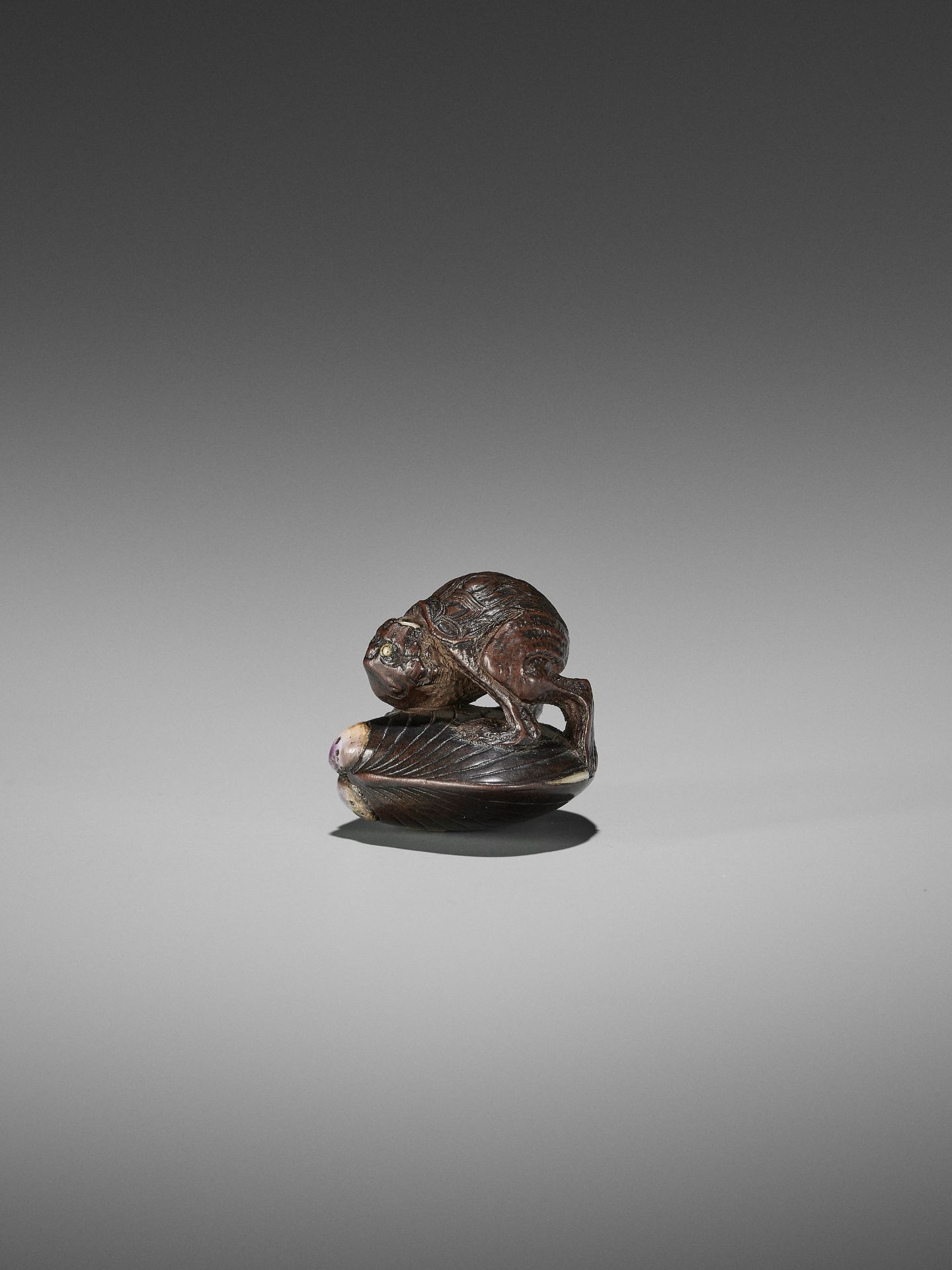 AN AMUSING INLAID WOOD NETSUKE OF A KAPPA ON HAMAGURI CLAM - Image 5 of 10