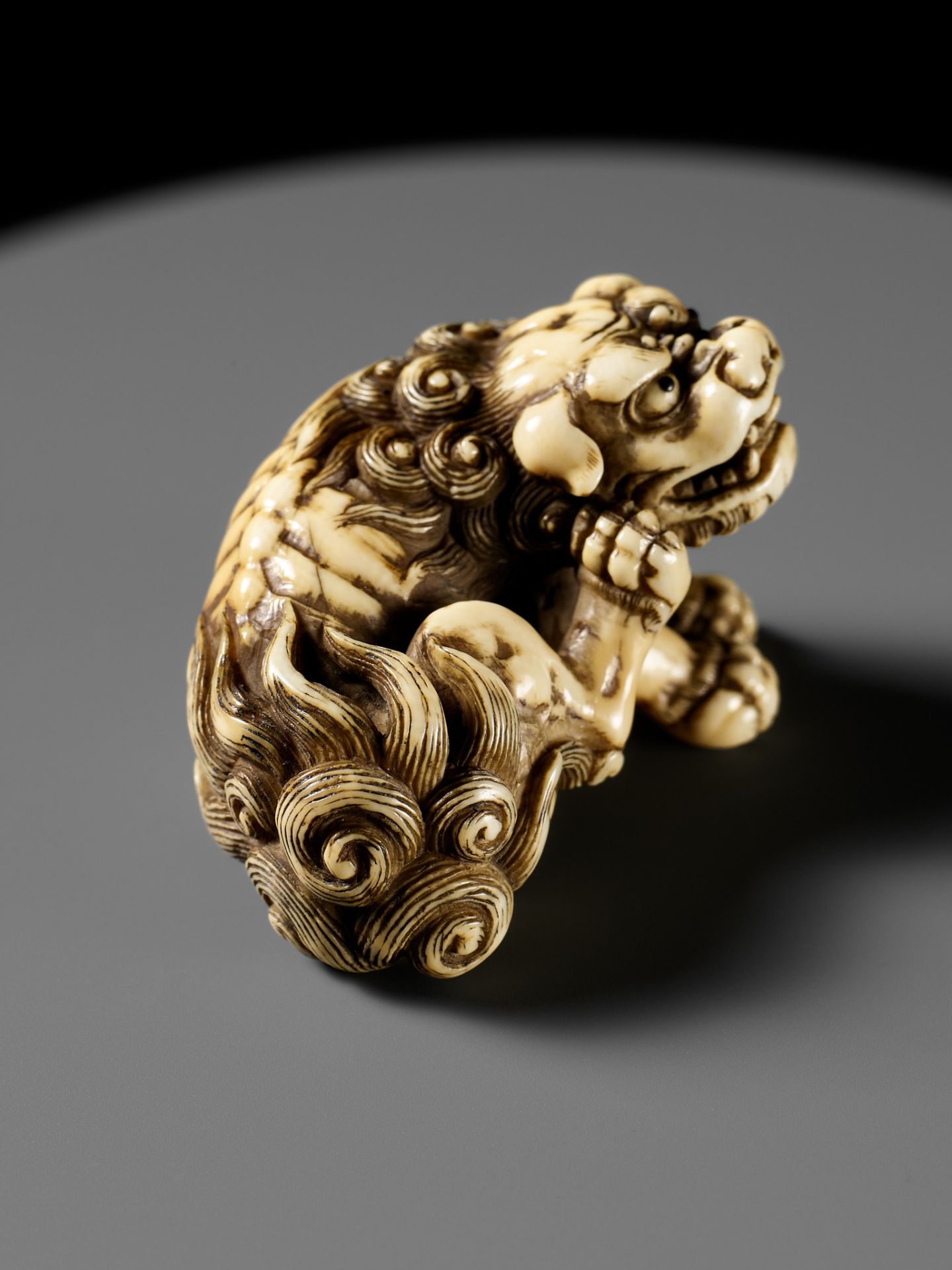 TOMOTADA: A SUPERB IVORY NETSUKE OF A RECUMBENT SHISHI SCRATCHING ITS JOWL - Bild 12 aus 24