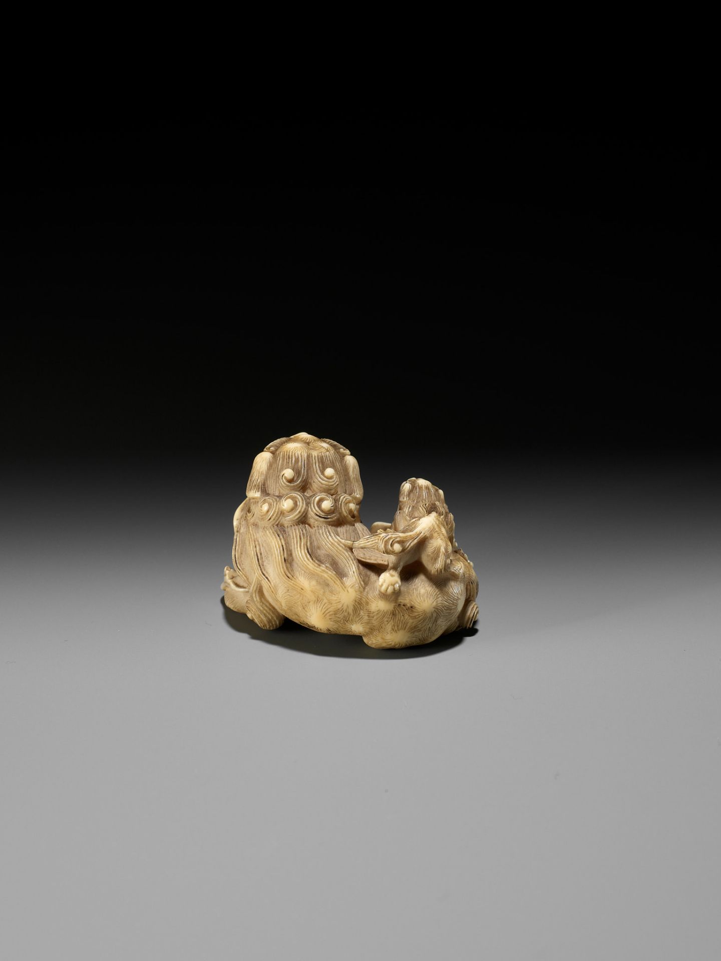 HAKURYU: A FINE IVORY NETSUKE OF A SHISHI AND YOUNG - Image 9 of 14