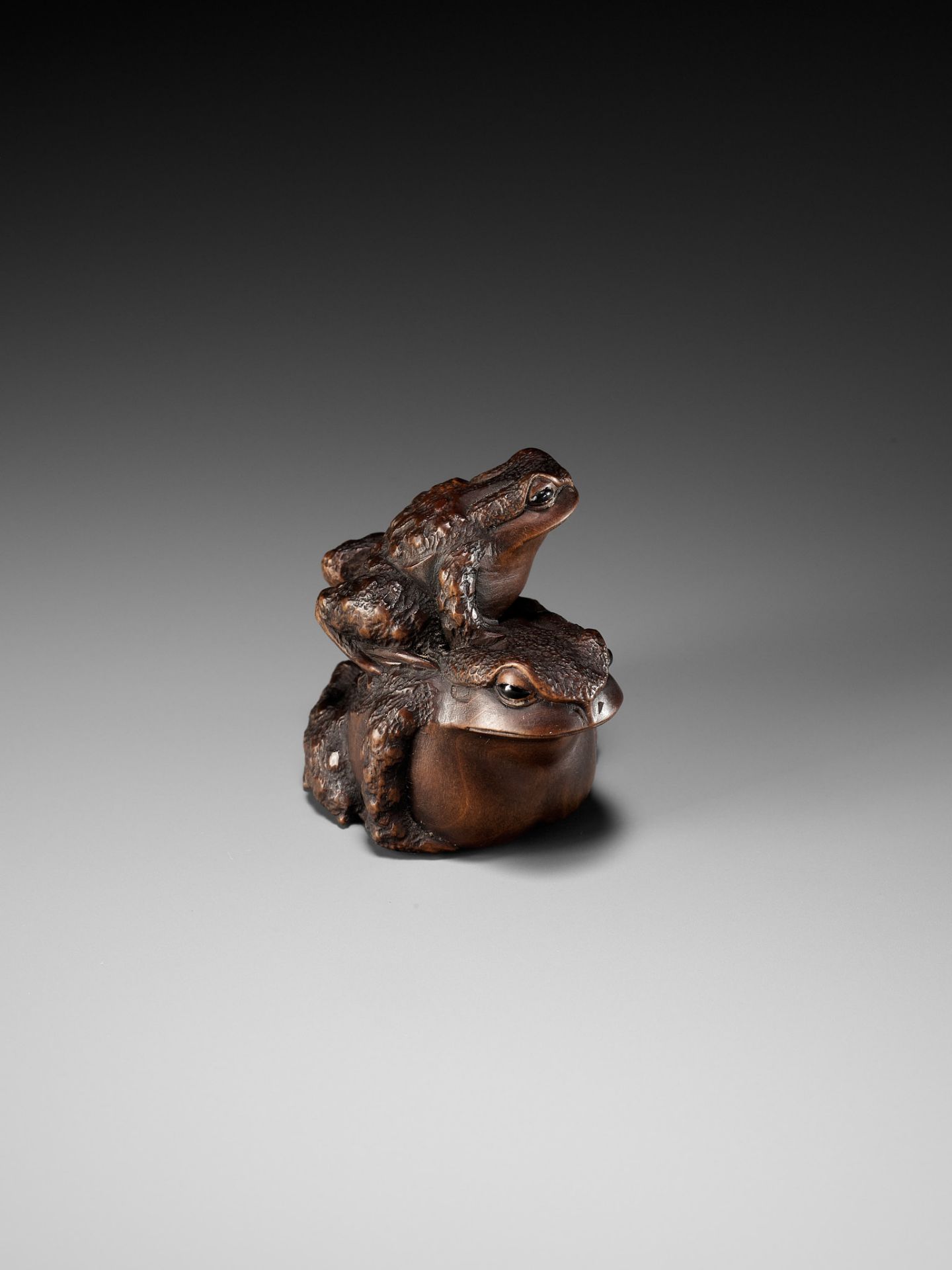 MASANAO: A FINE WOOD NETSUKE OF A TOAD WITH YOUNG - Image 3 of 15