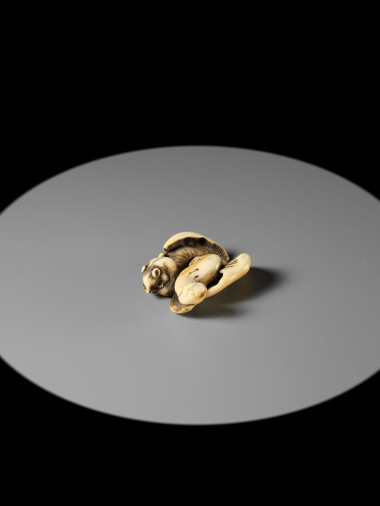 A FINE KYOTO SCHOOL IVORY NETSUKE OF A SQUIRREL ON MUSHROOM - Image 9 of 13