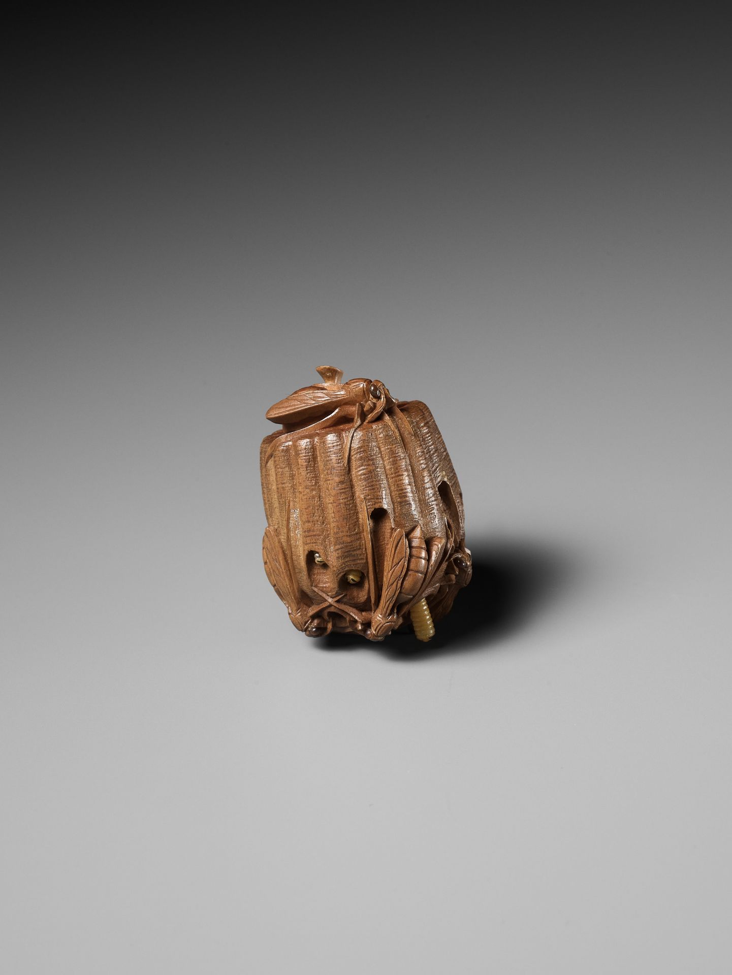 TADAKAZU: A FINE WOOD NETSUKE OF A WASP NEST WITH MOVABLE LARVAE - Bild 12 aus 15