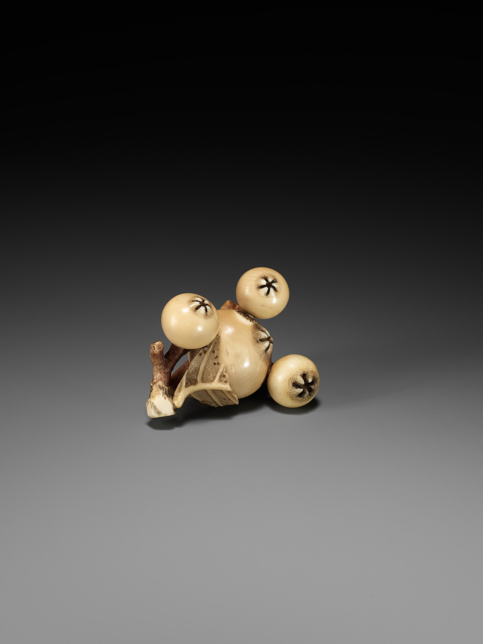 MITSUHIRO: A FINE IVORY NETSUKE OF A BIWA (LOQUAT) - Bild 10 aus 16