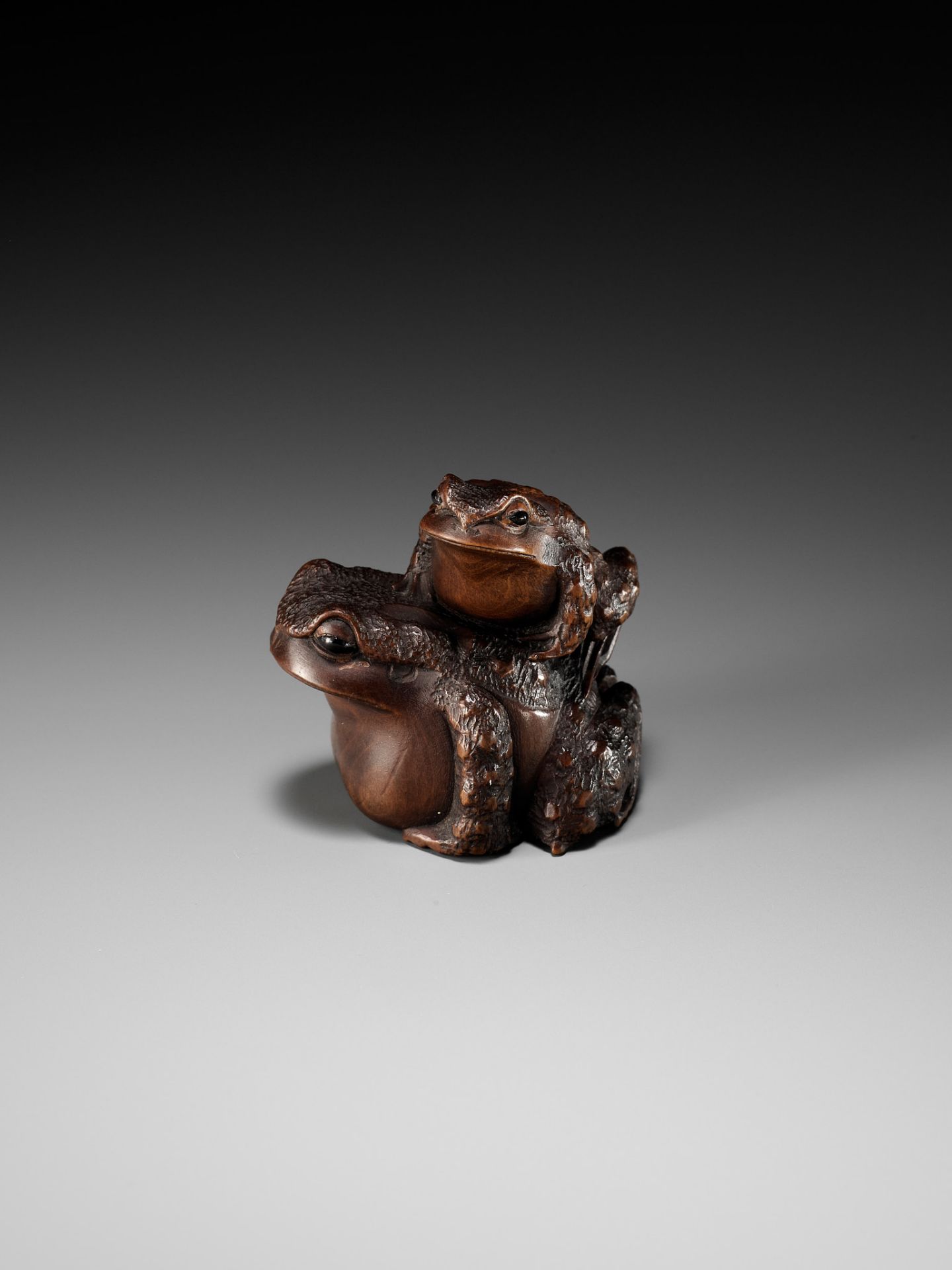 MASANAO: A FINE WOOD NETSUKE OF A TOAD WITH YOUNG - Image 8 of 15