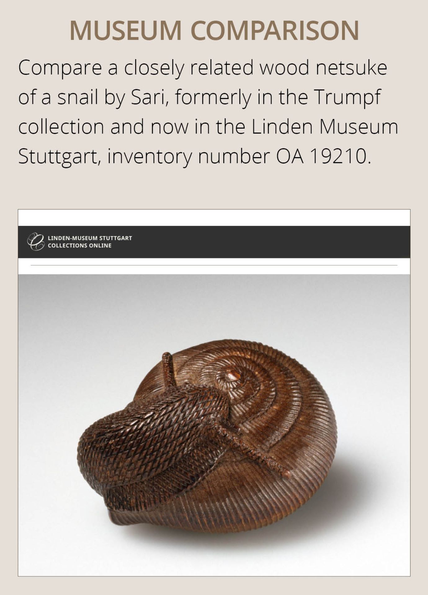 SARI: A FINE WOOD NETSUKE OF A SNAIL EMERGING FROM ITS SHELL - Bild 5 aus 17