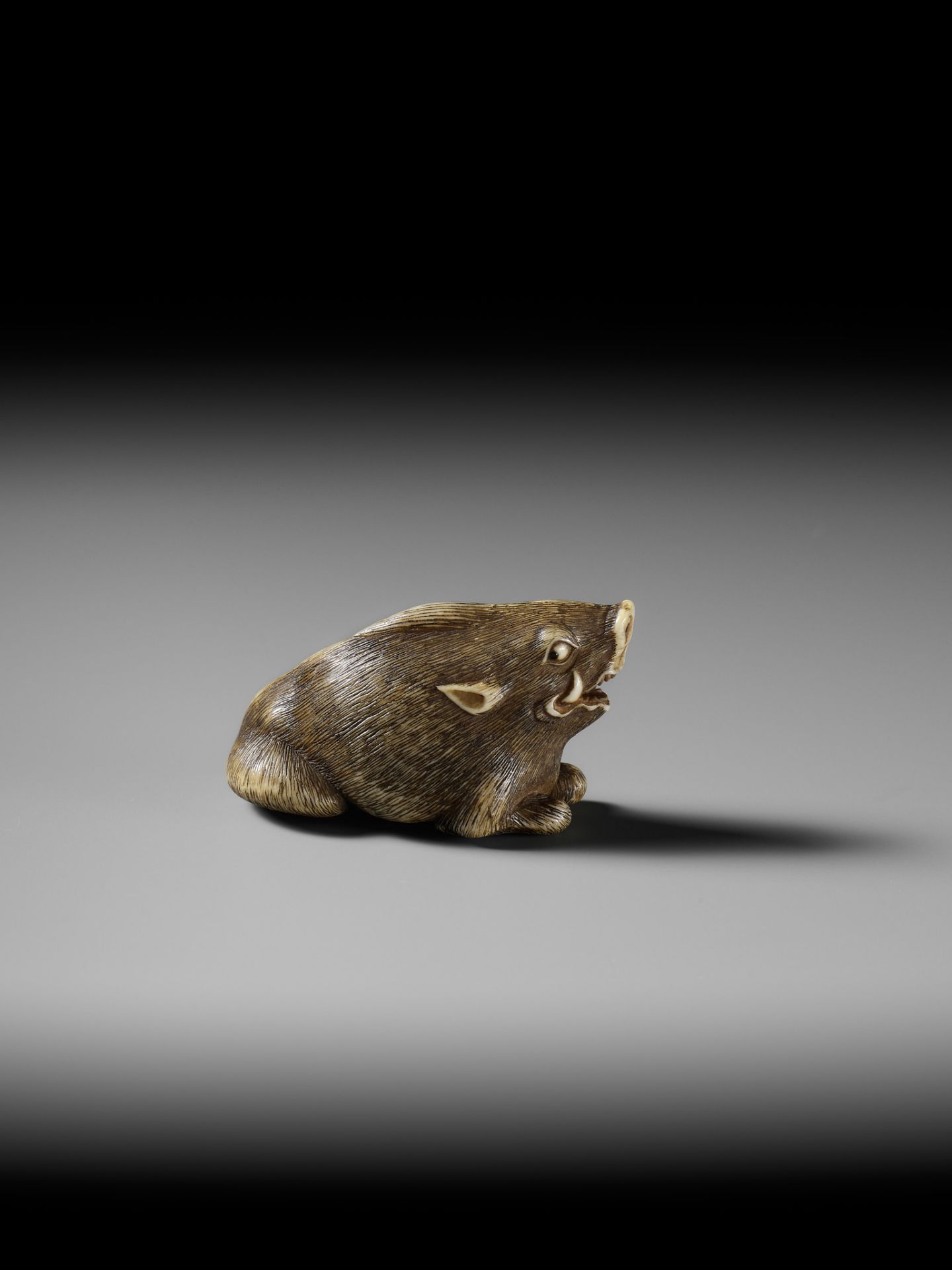 A KYOTO SCHOOL IVORY NETSUKE OF A FRIGHTENED RECLINING BOAR - Image 3 of 13