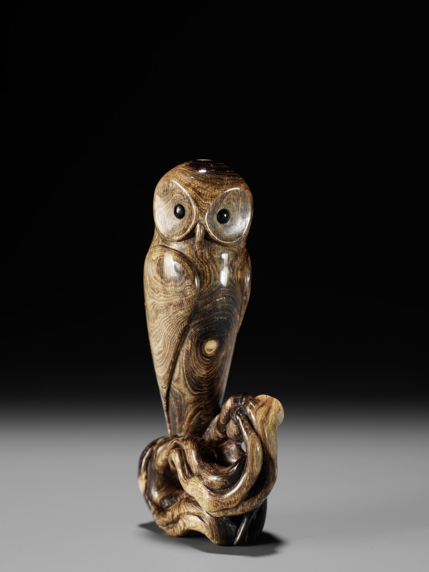 GUY SHAW: OWL - Bild 14 aus 16