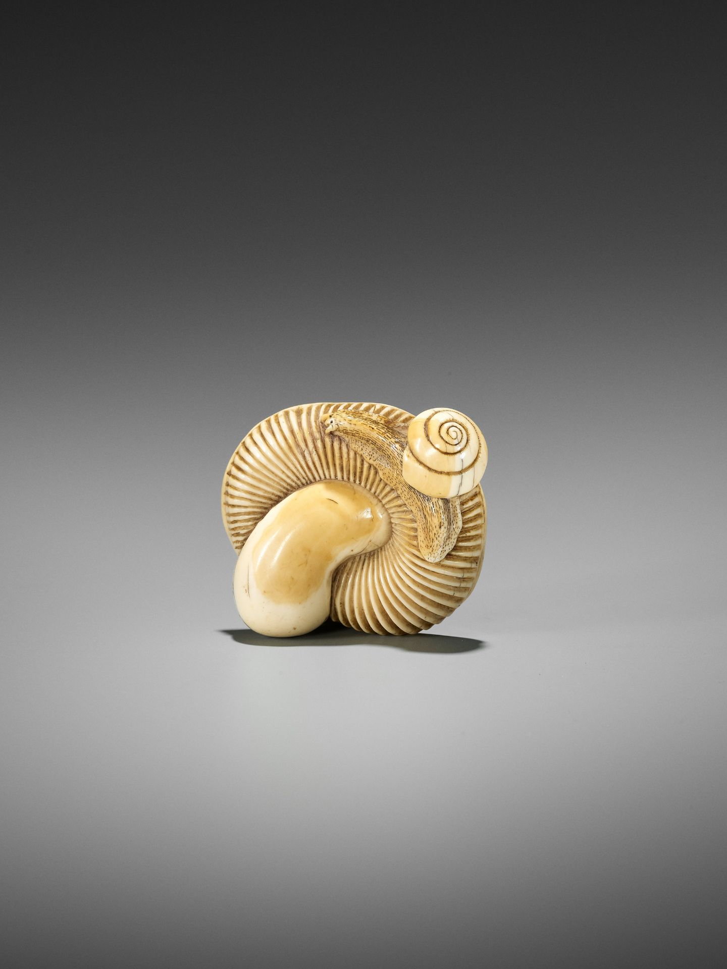 A FINE IVORY NETSUKE OF A SNAIL ON LARGE MUSHROOM - Bild 3 aus 15