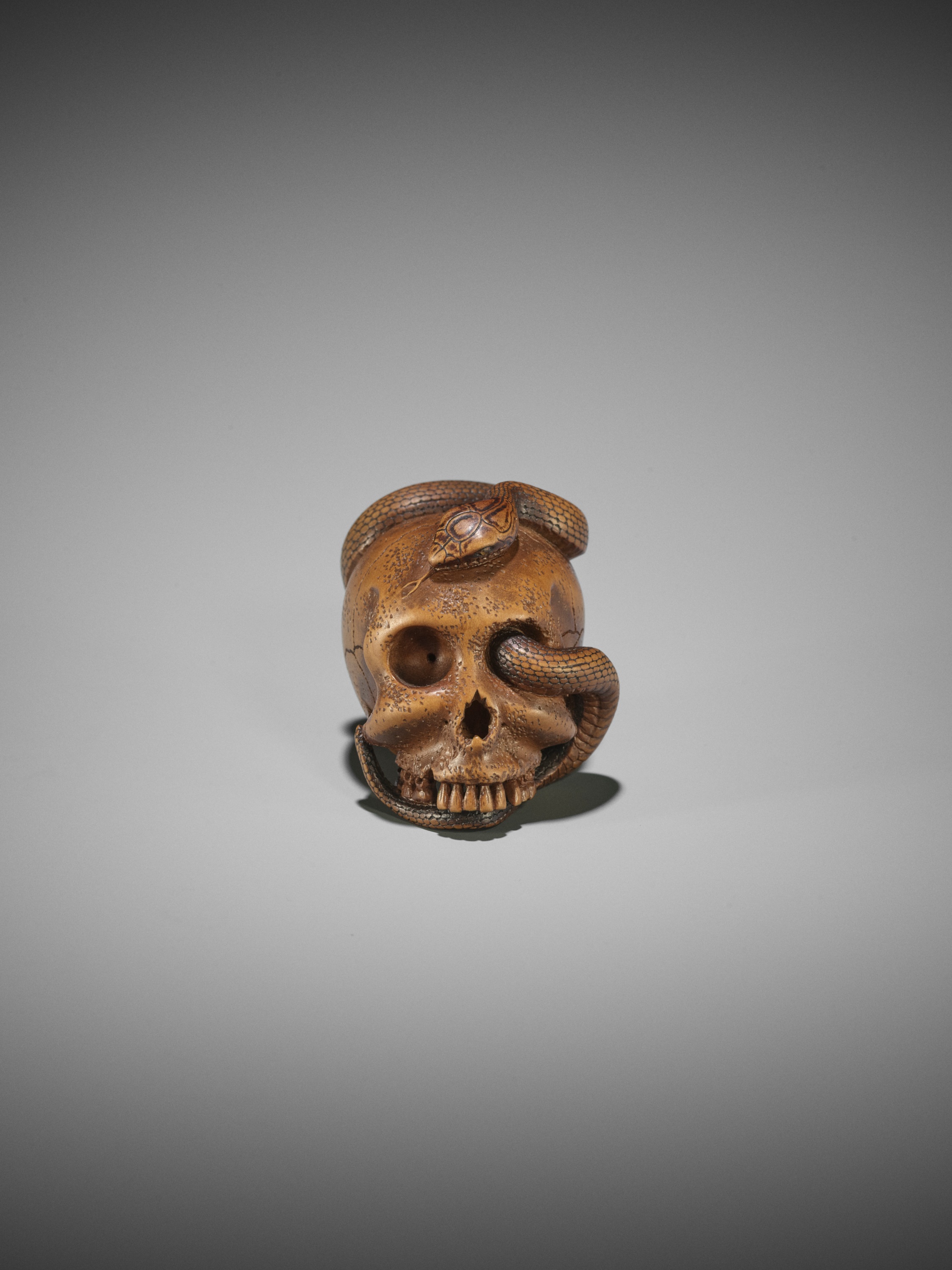 SUKEYUKI: A MASTERFUL WOOD NETSUKE OF A SNAKE AND SKULL - Image 7 of 19