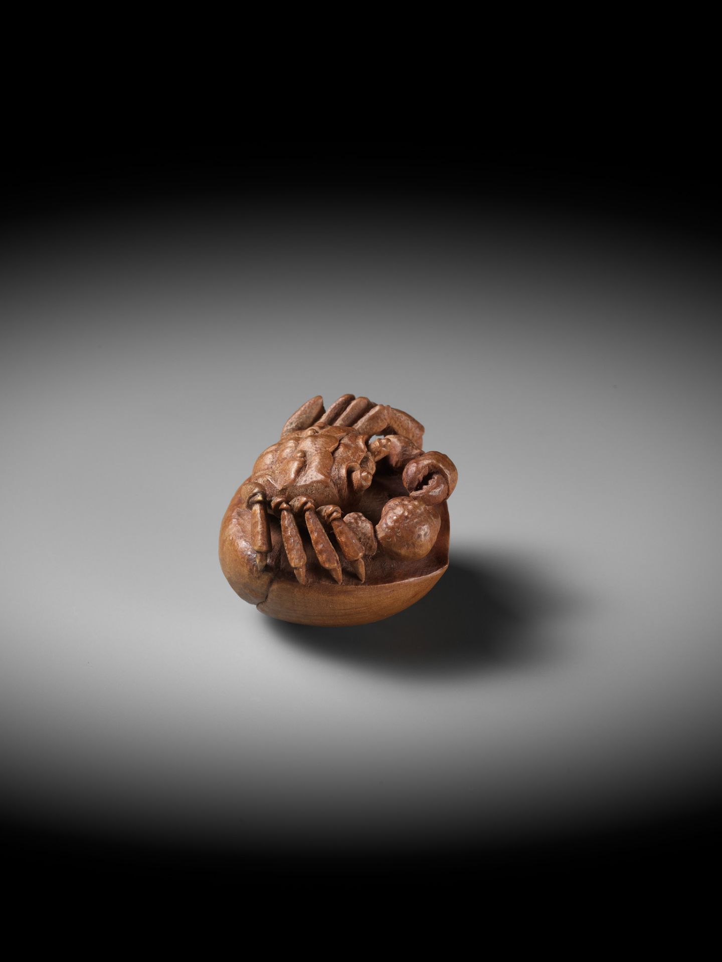 MORITA SOKO: A FINE NETSUKE OF A SAMURAI CRAB (HEIKEGANI) ON A CHESTNUT - Bild 14 aus 16