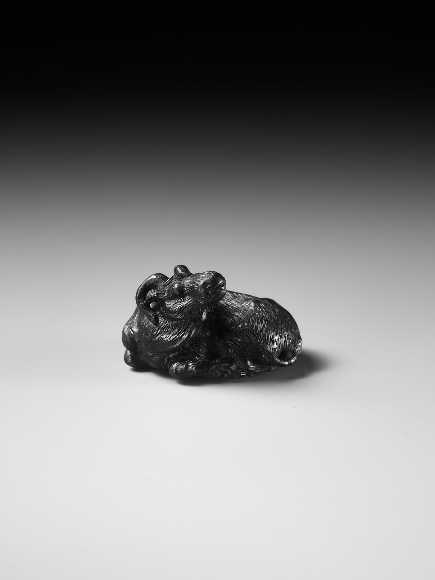 TATEKAWA KOSAI: AN EBONY WOOD NETSUKE OF A RECUMBENT OX - Image 2 of 13