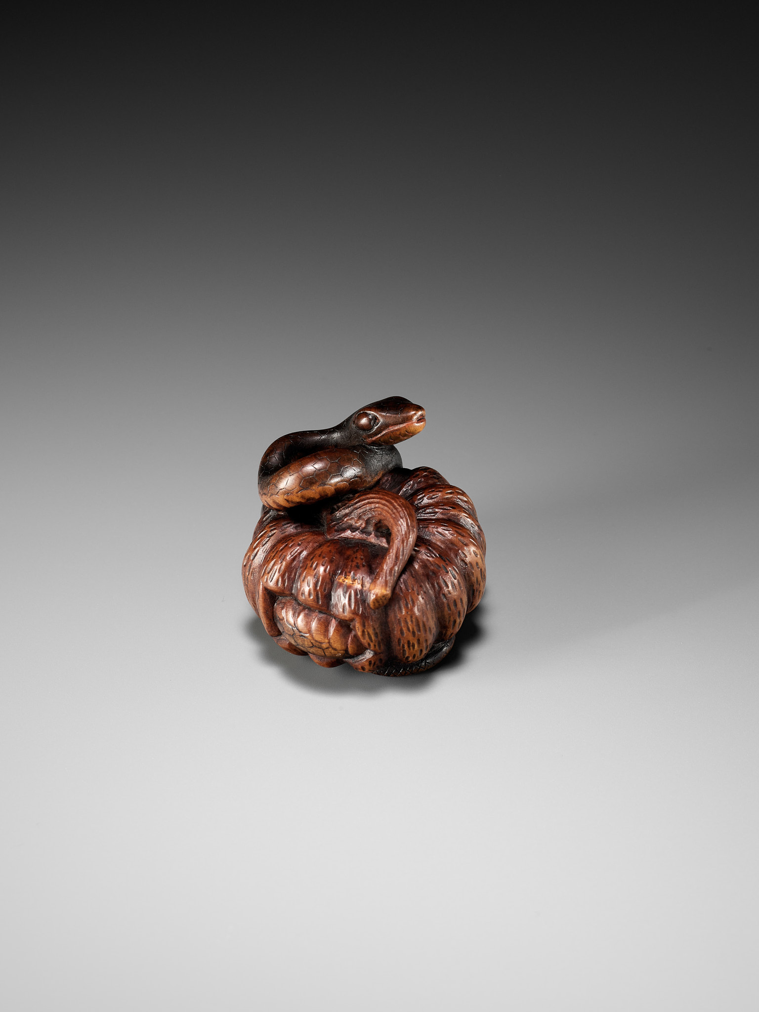 SHIGEMASA: A FINE NAGOYA SCHOOL WOOD NETSUKE OF SNAKE WINDING THROUGH A PUMPKIN - Image 4 of 11