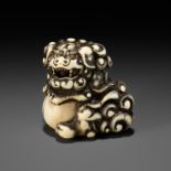 AN IVORY NETSUKE OF A SNARLING SHISHI WITH BALL