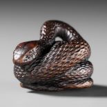 A SUPERB DARK WOOD NETSUKE OF A COILED SNAKE