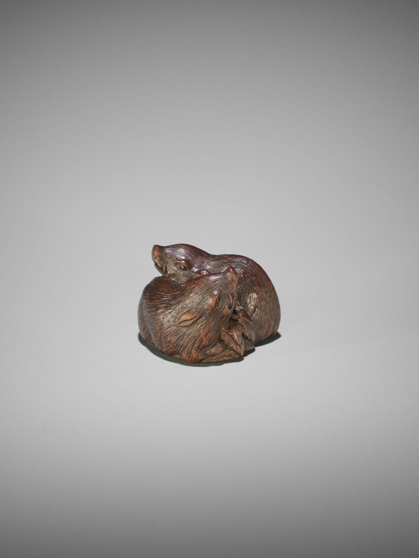 TAMETAKA: A WOOD NETSUKE OF TWO BOARS - Bild 13 aus 17