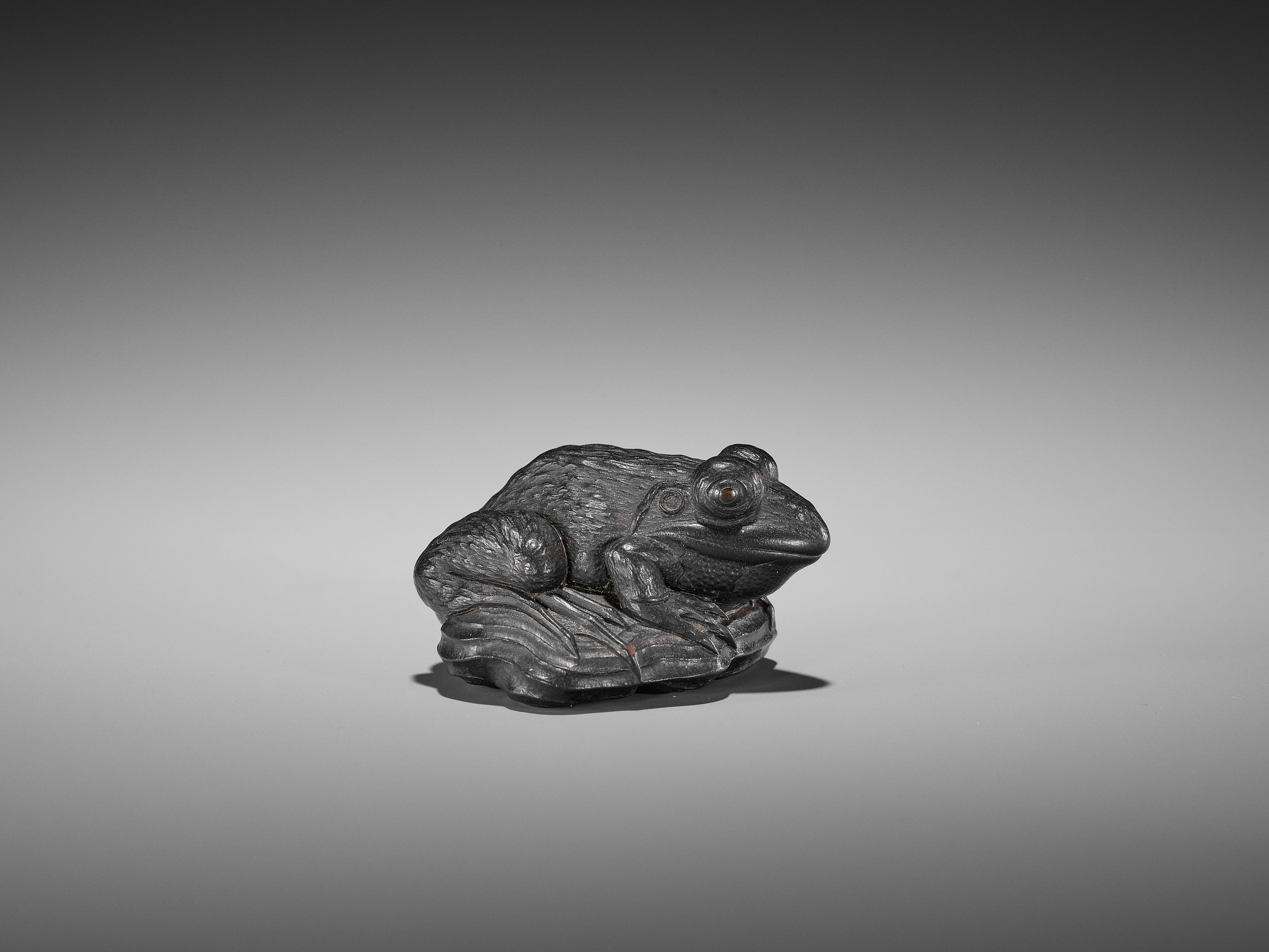 A SUPERB EBONY WOOD NETSUKE OF A FROG ON DRIFTWOOD ATTRIBUTED TO SEIYODO TOMIHARU - Image 13 of 20